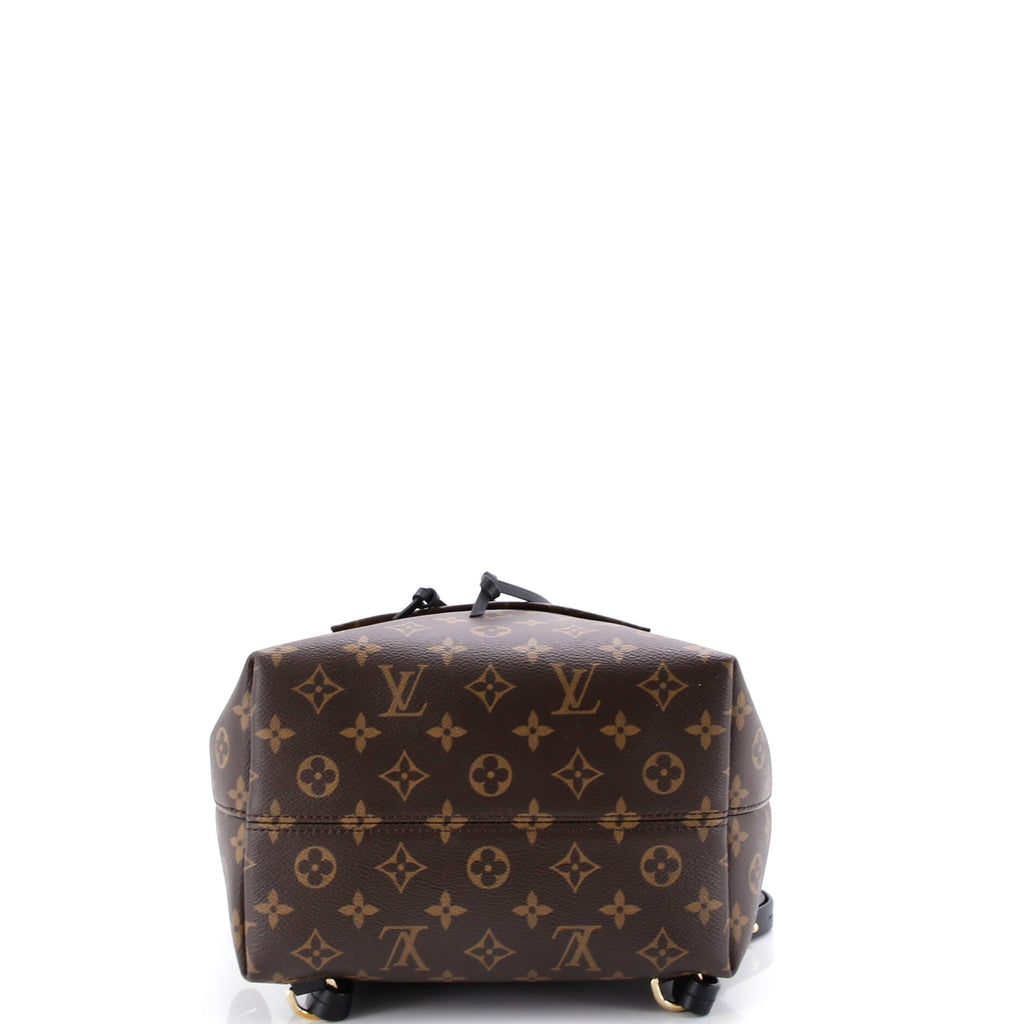 Montsouris NM Backpack Monogram Canvas with Leather PM