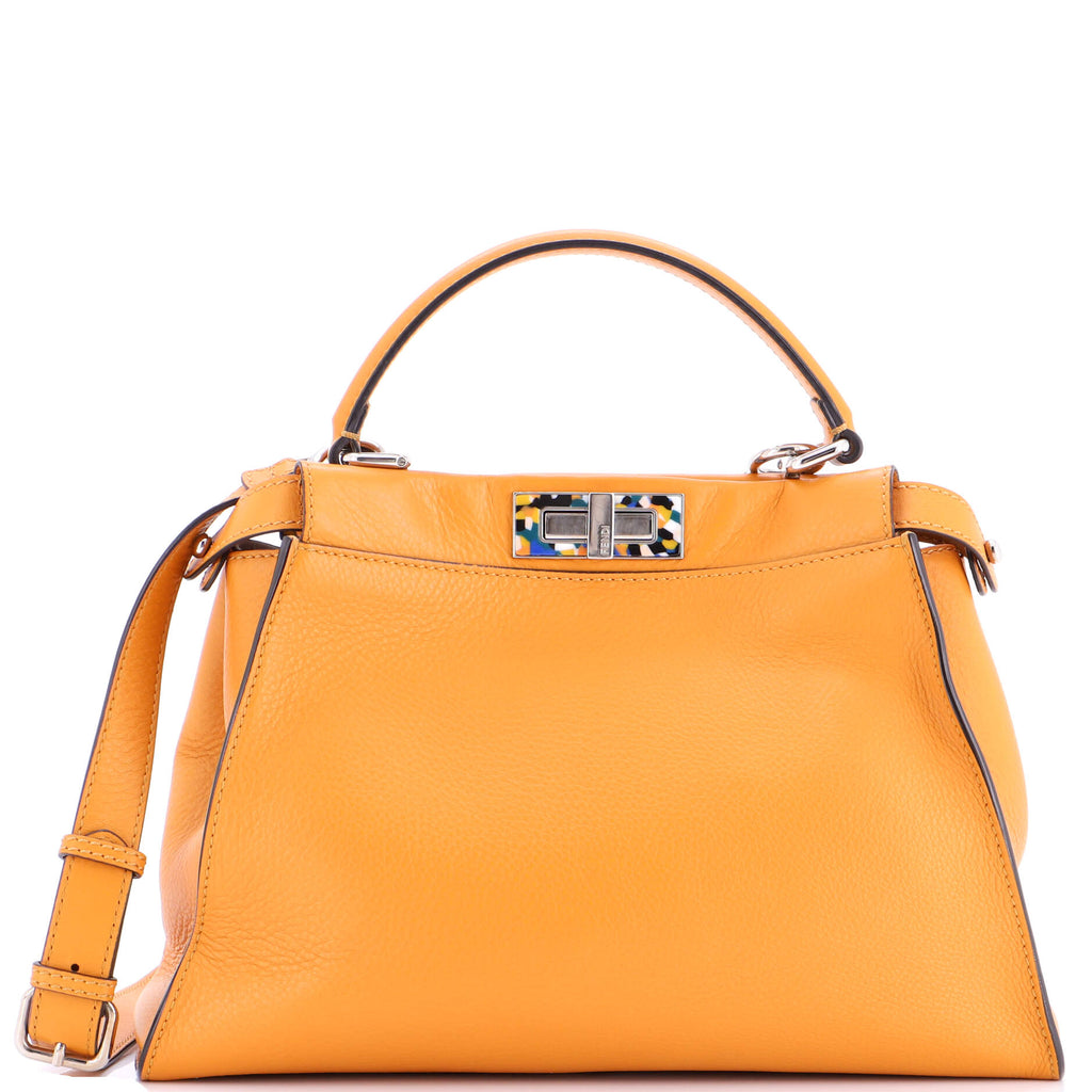 Peekaboo Bag Leather with Plexiglass Detail Regular