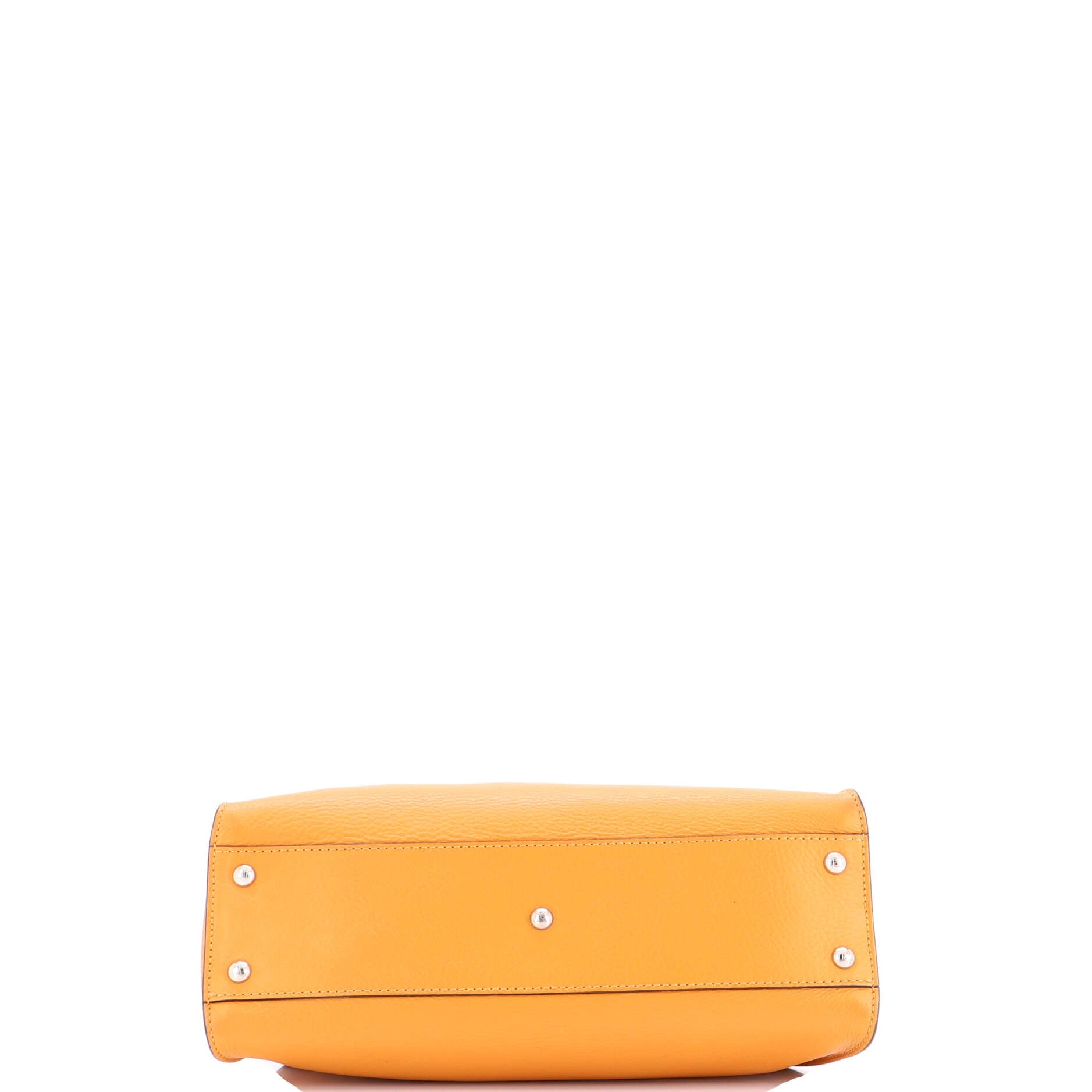 Peekaboo Bag Leather with Plexiglass Detail Regular