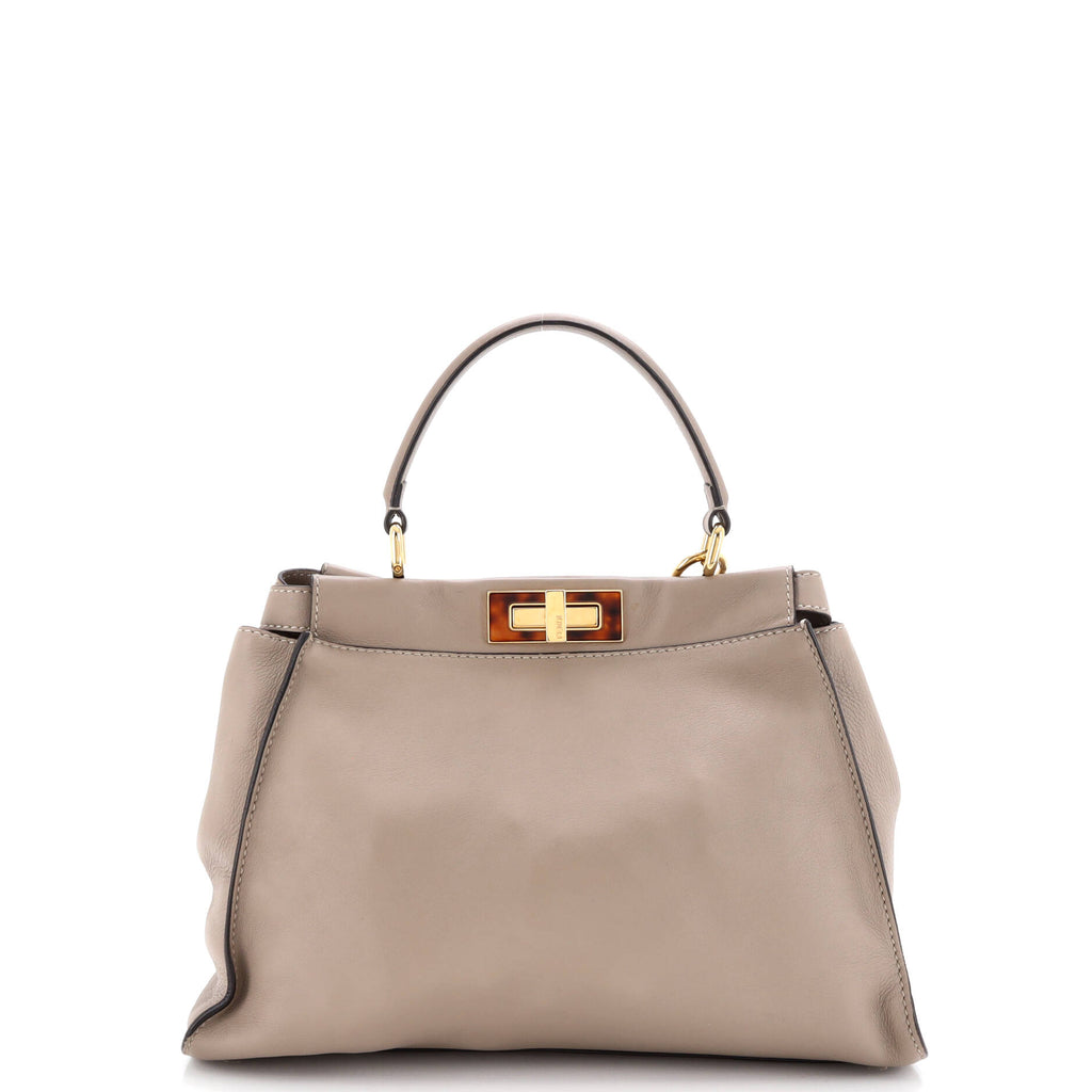 Peekaboo Bag Leather with Plexiglass Detail Regular