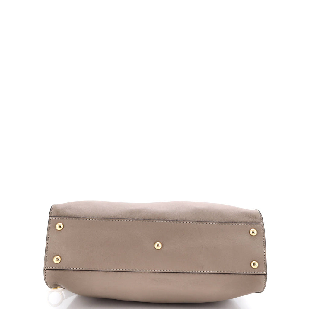 Peekaboo Bag Leather with Plexiglass Detail Regular