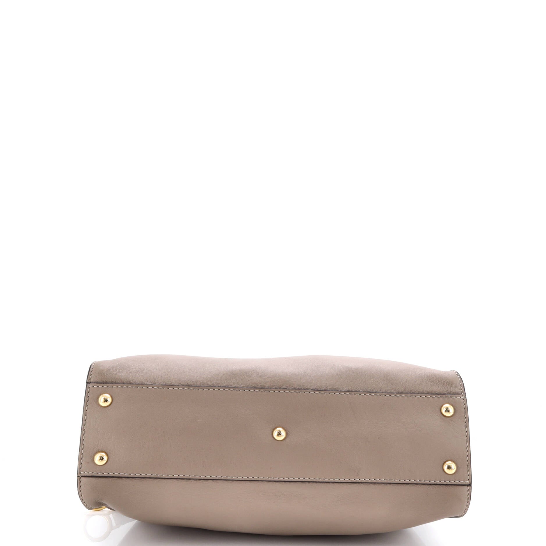 Peekaboo Bag Leather with Plexiglass Detail Regular