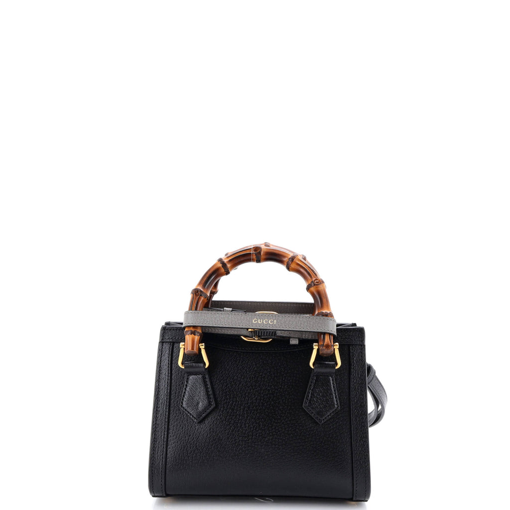 Diana NM Bamboo Handle Tote Leather Mini