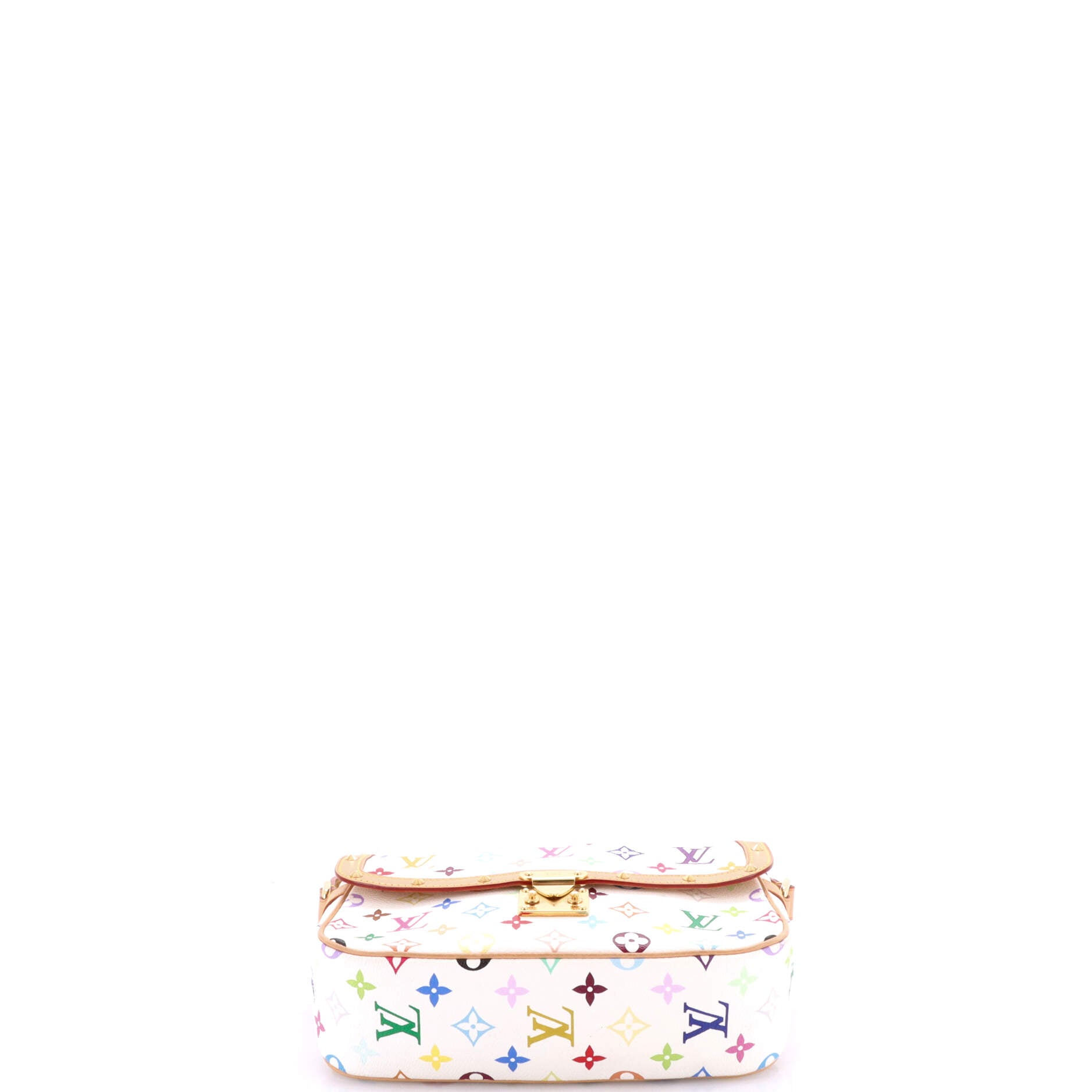 Sologne Handbag Monogram Multicolor