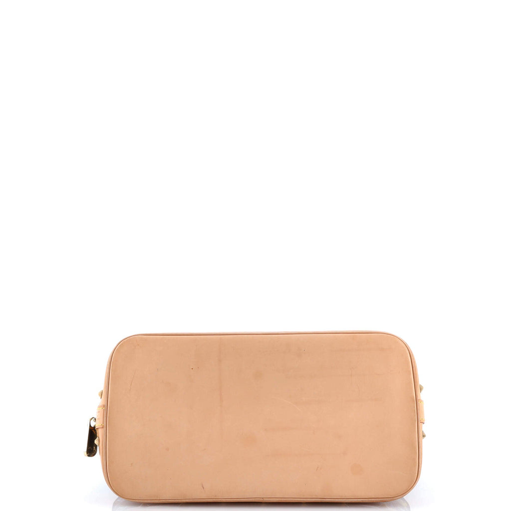 Alma Handbag Monogram Multicolor PM