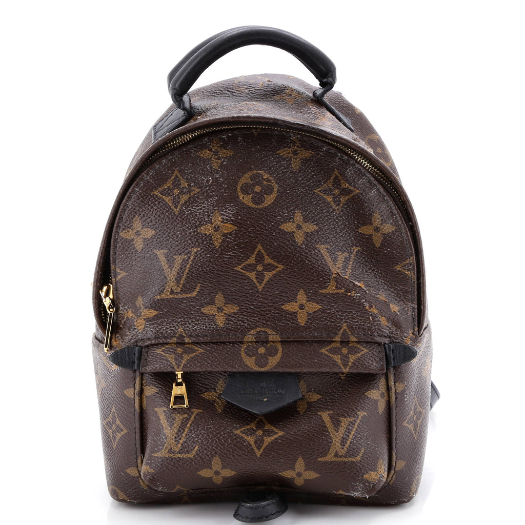 Palm Springs Backpack Monogram Canvas Mini