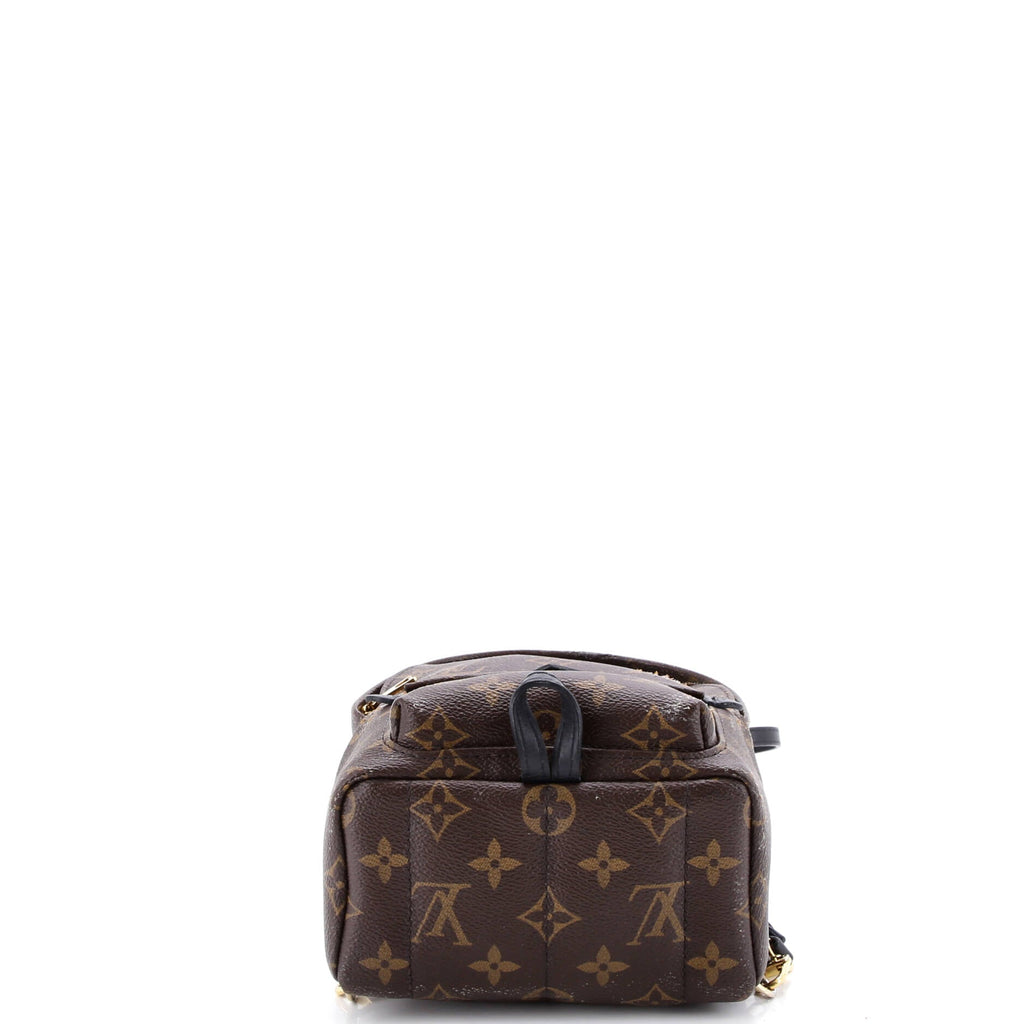Palm Springs Backpack Monogram Canvas Mini