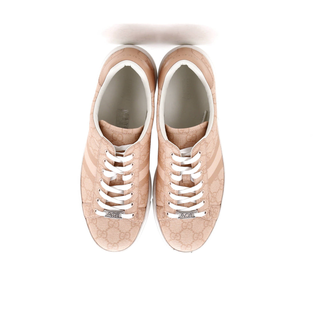 Ace Sneakers GG Coated Canvas