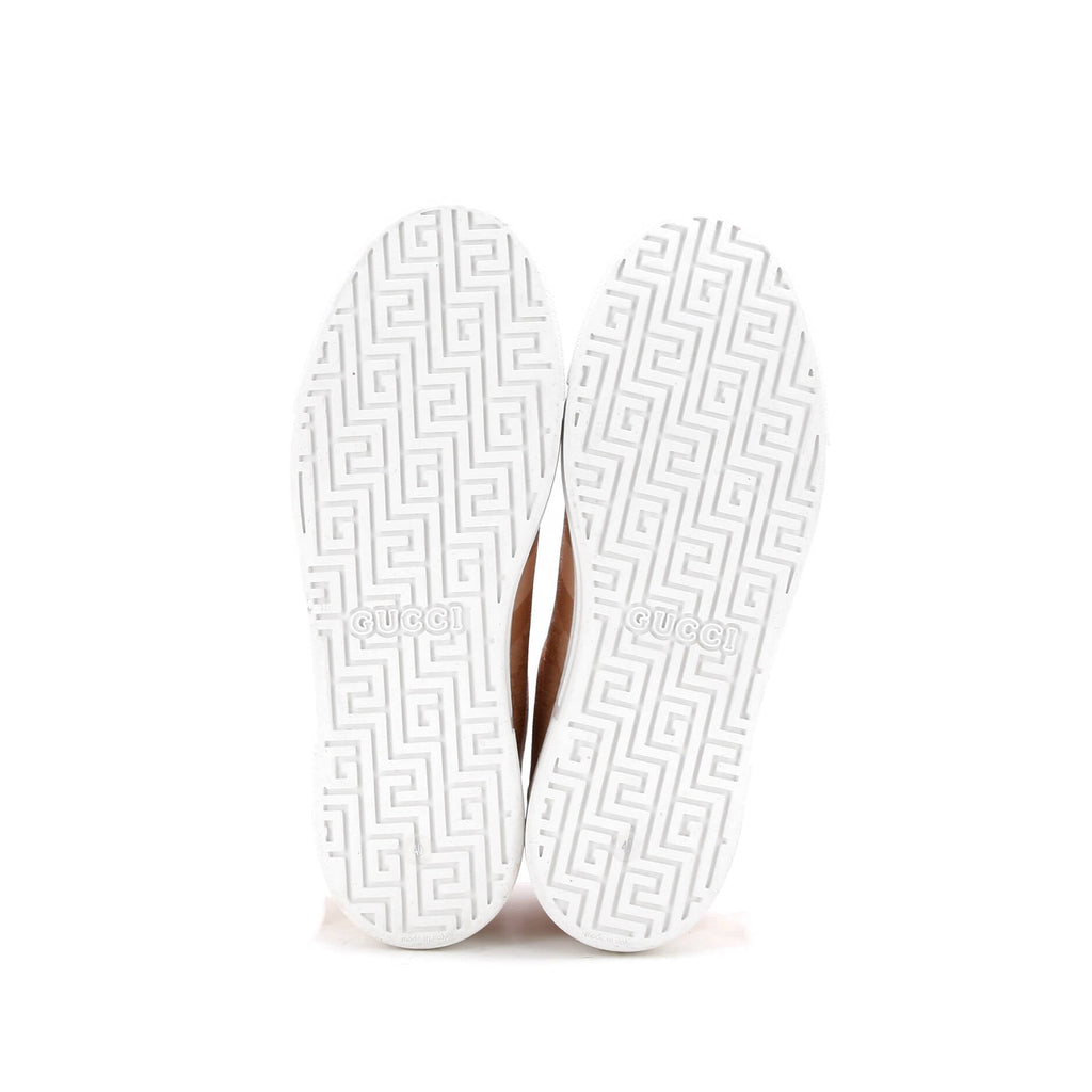 Ace Sneakers GG Coated Canvas