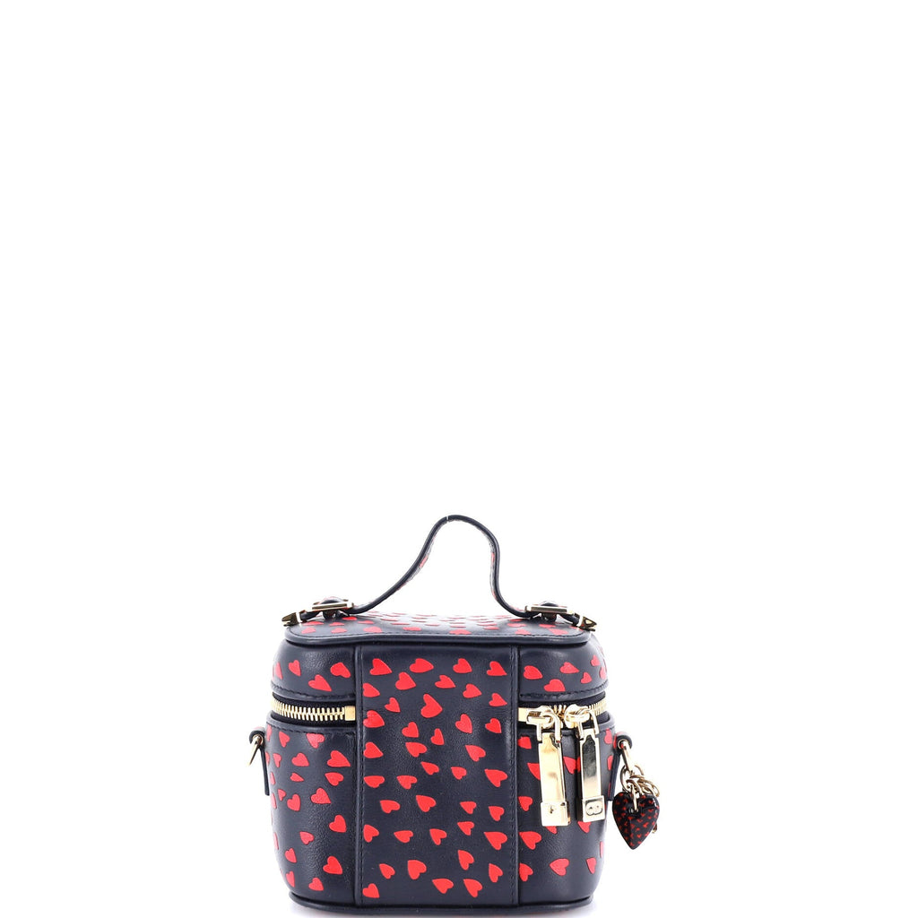 Lady Dior Vanity Case Printed Leather Micro