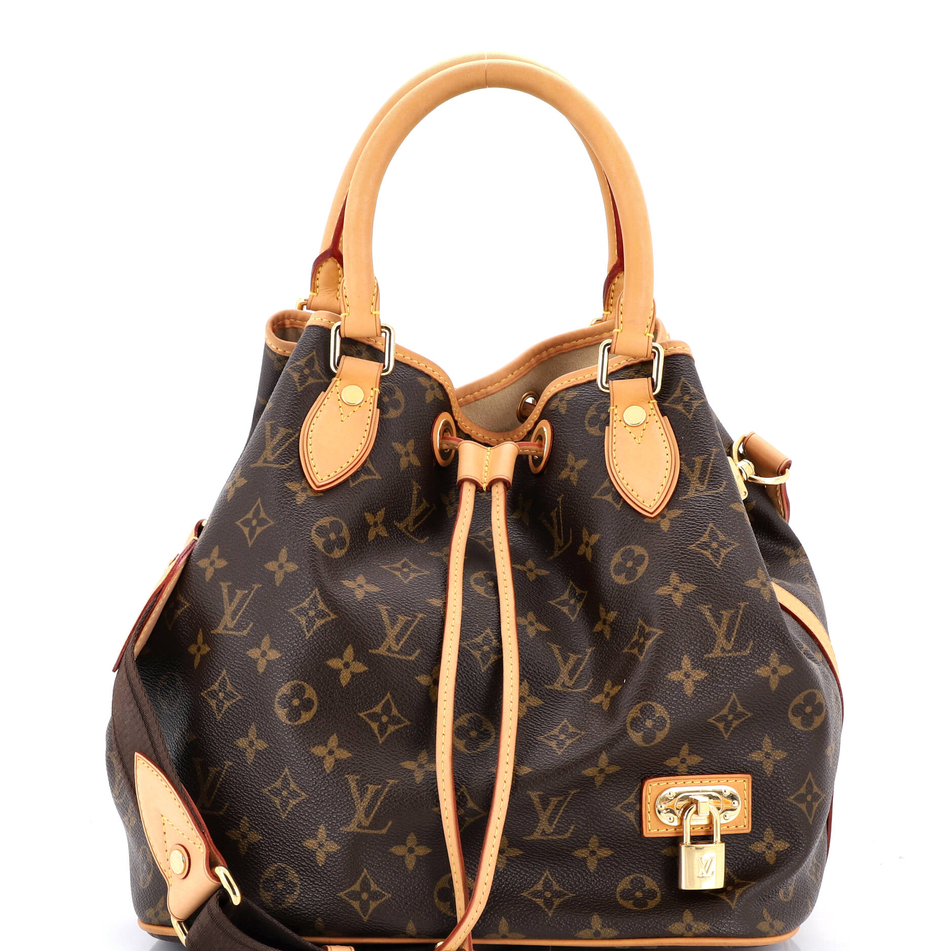 Neo Shoulder Bag Monogram Canvas