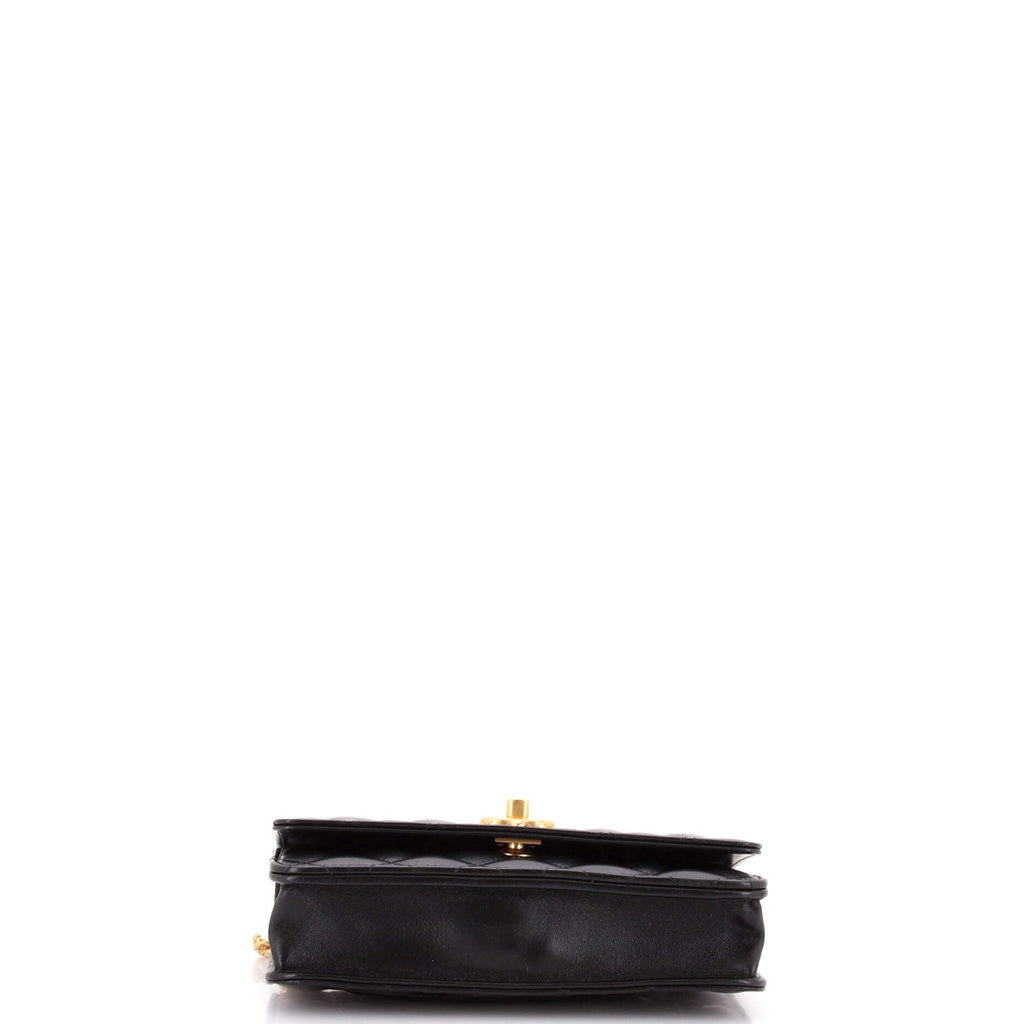 Adjustable Wallet on Chain Quilted Lambskin