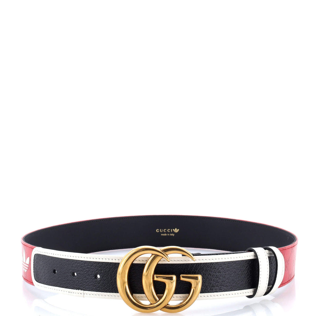 x adidas GG Marmont Belt GG Coated Canvas and Leather