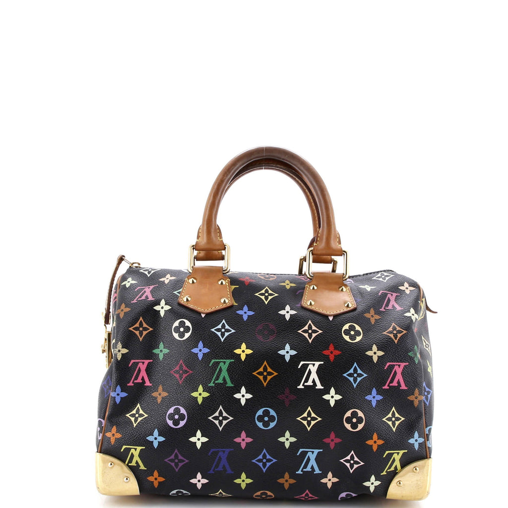 Speedy Handbag Monogram Multicolor 30