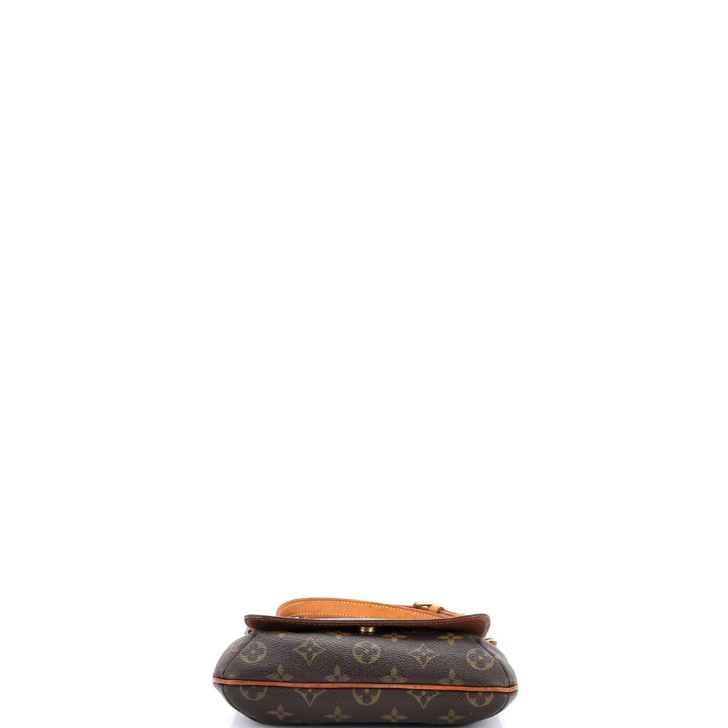 Musette Salsa Handbag Monogram Canvas PM