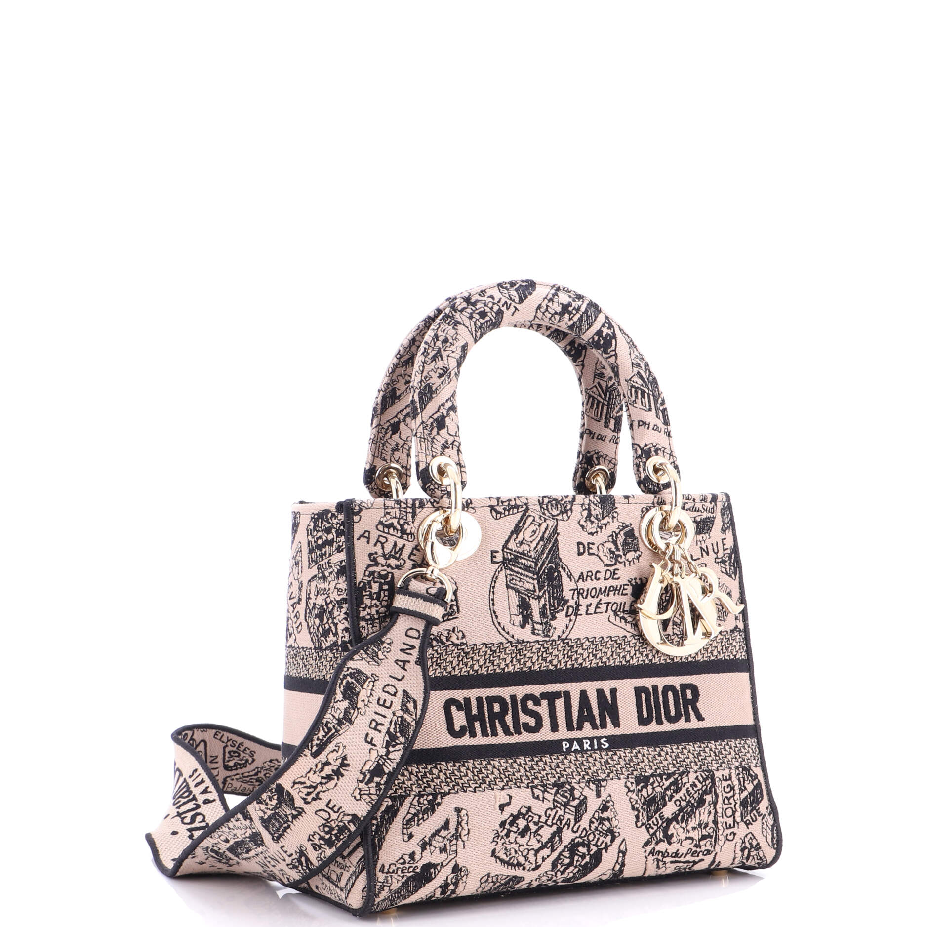 Lady D-Lite Bag Embroidered Canvas Medium