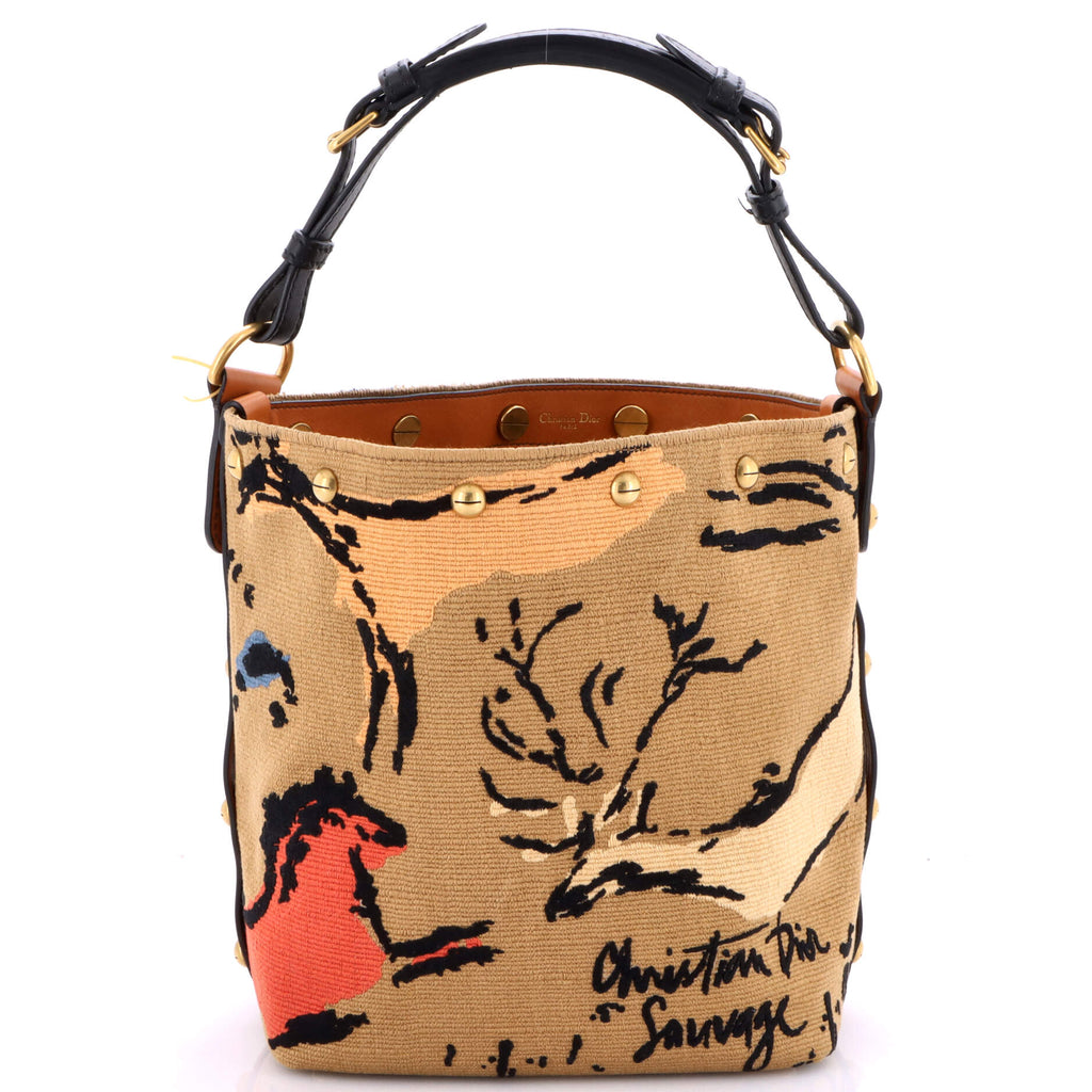 DiorAvenue Bucket Bag Embroidered Canvas Small