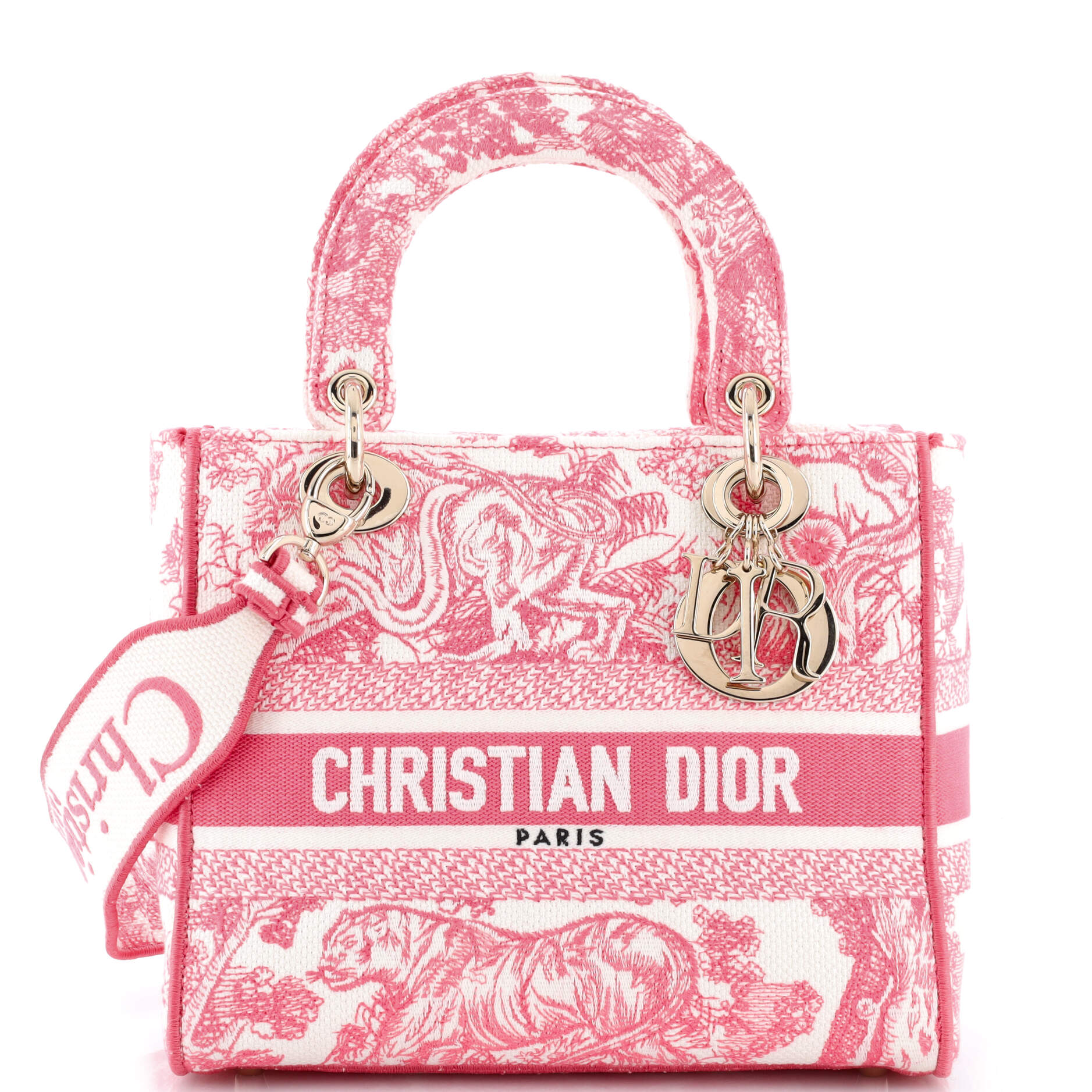 Toile de Jouy Lady D-Lite Bag Embroidered Canvas
