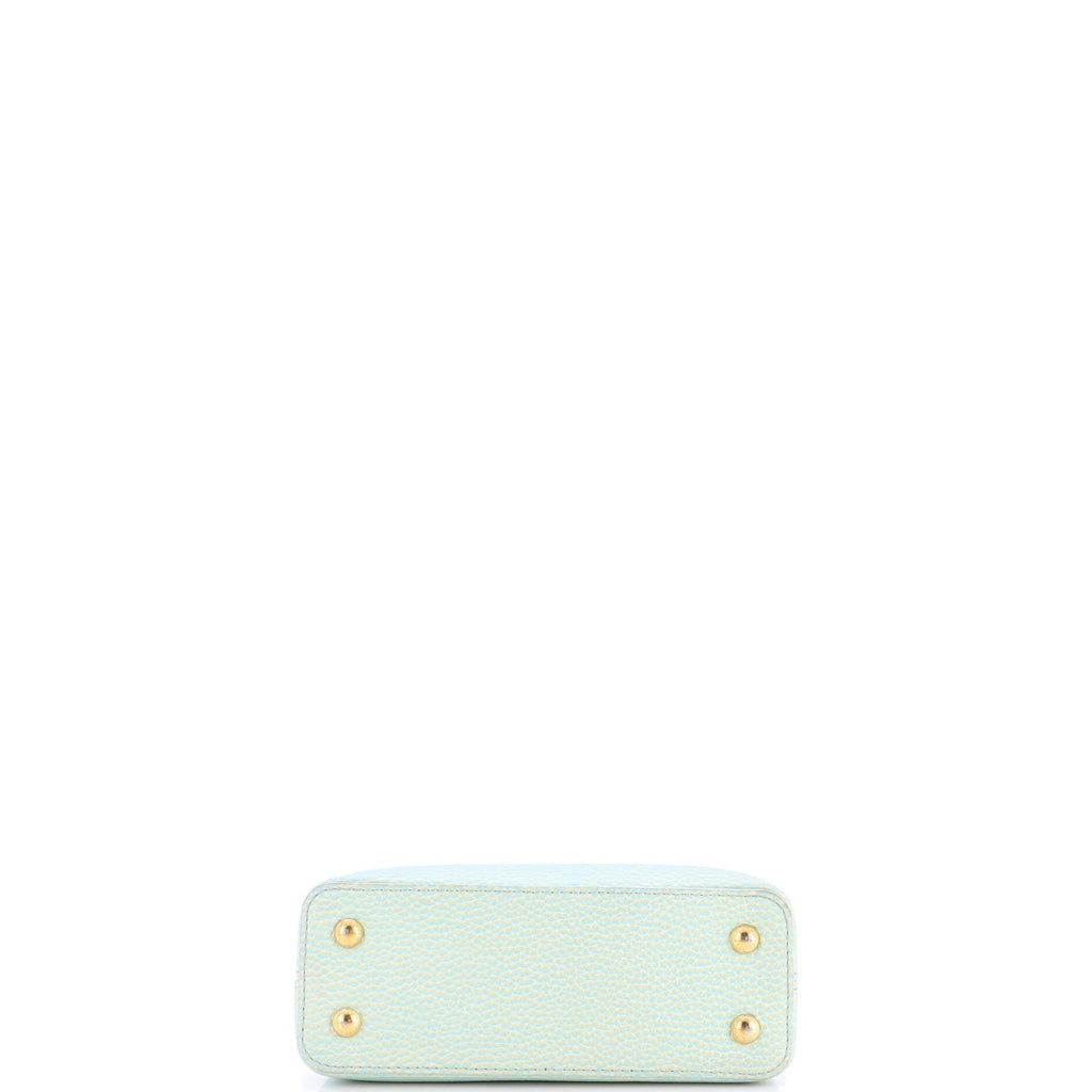 Capucines Resin Chain Bag Leather Mini