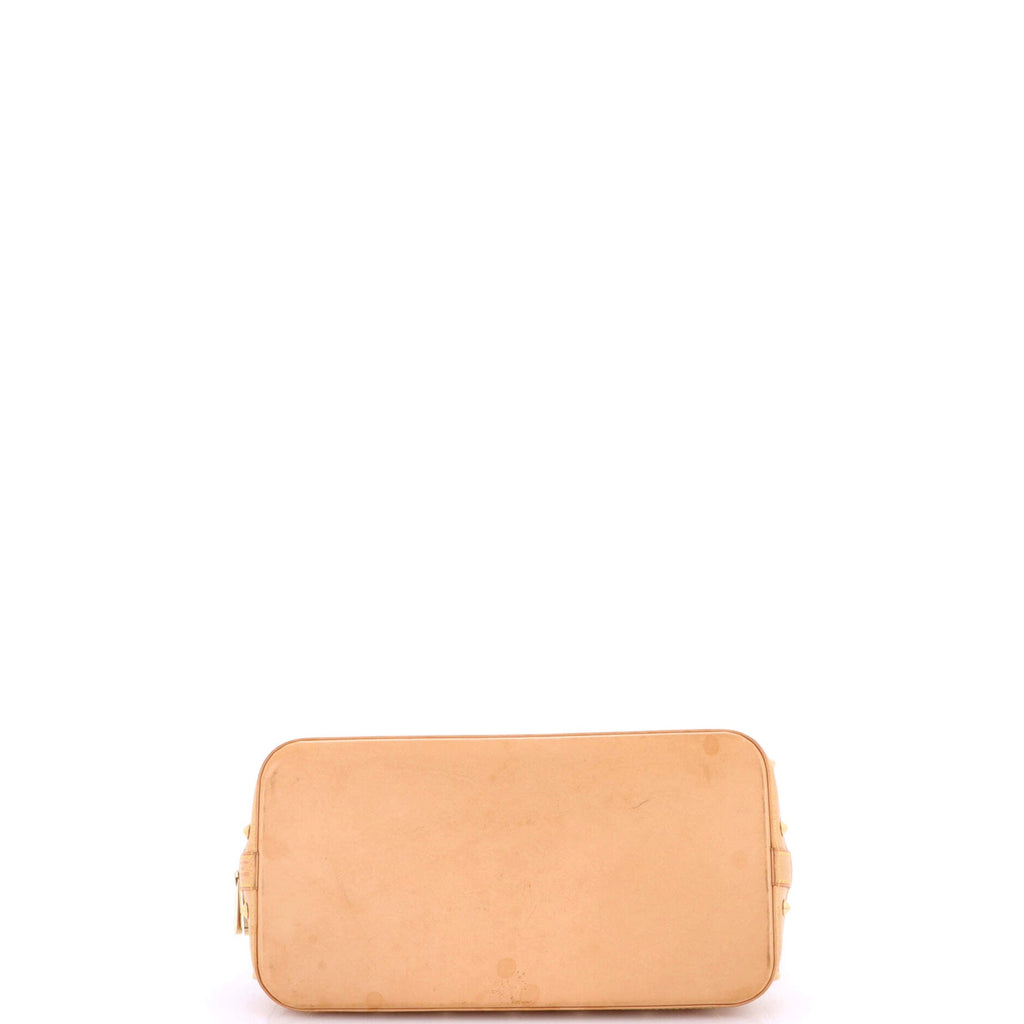 Alma Handbag Monogram Multicolor PM