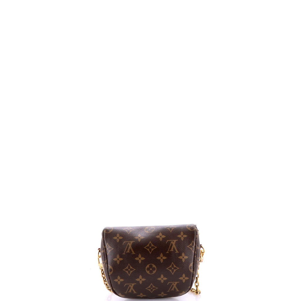 Bum Bag Monogram Canvas Mini