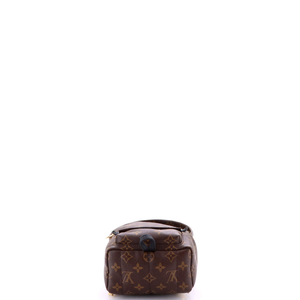 Palm Springs Backpack Monogram Canvas Mini