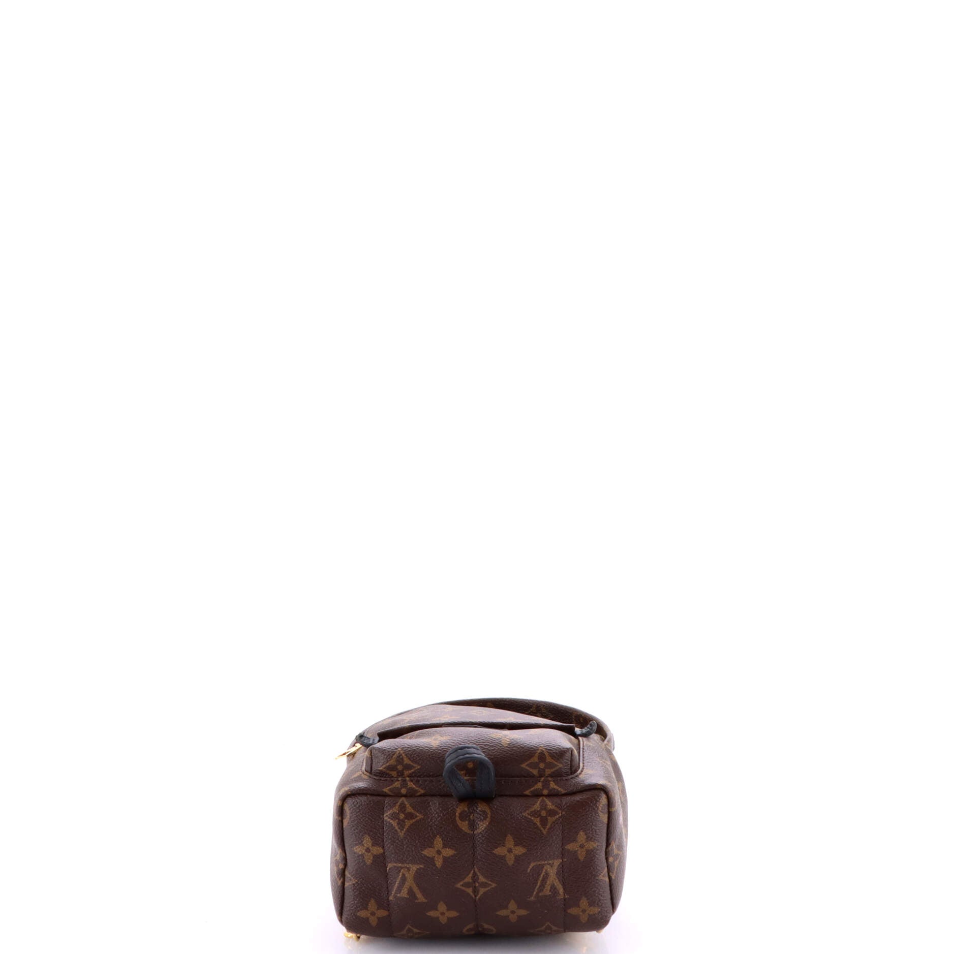 Palm Springs Backpack Monogram Canvas Mini