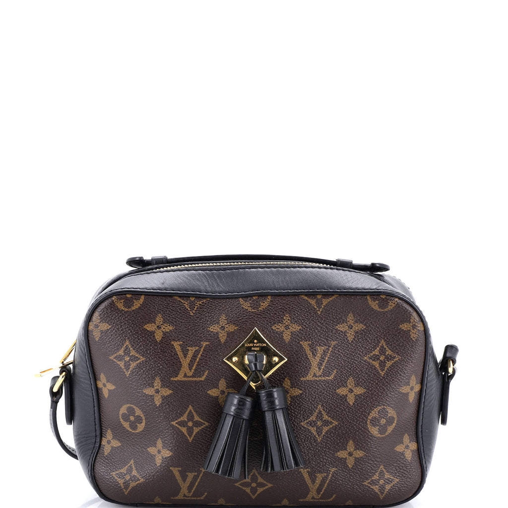 Saintonge Handbag Monogram Canvas with Leather