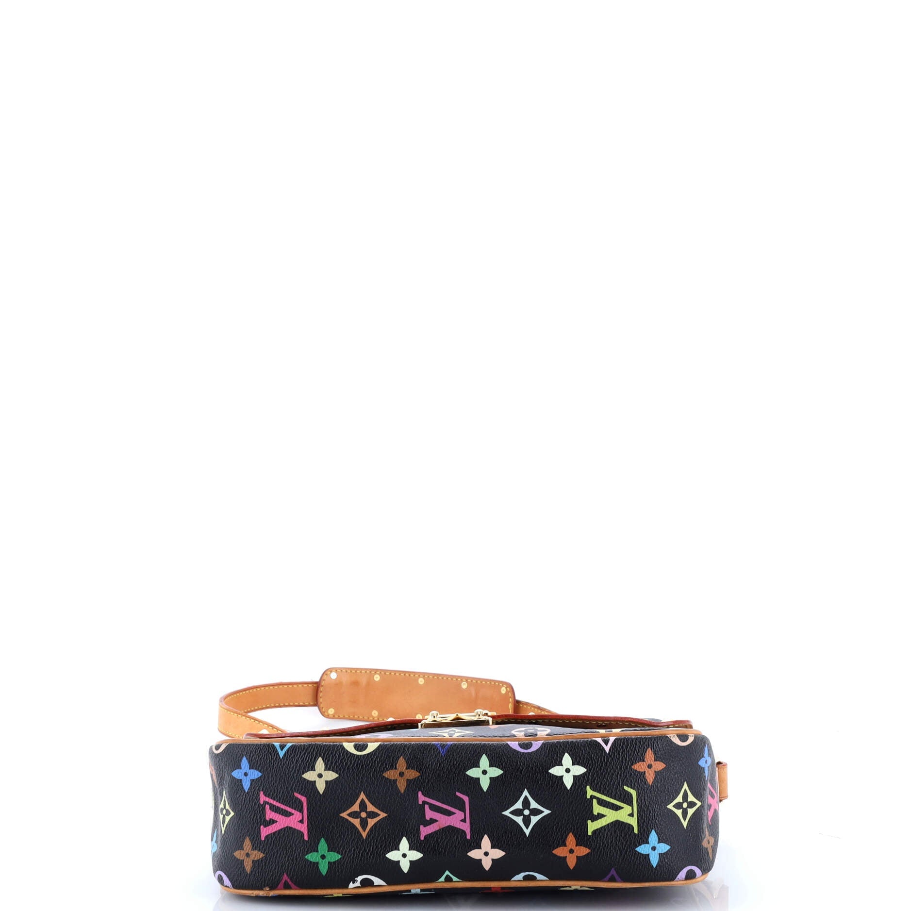 Sologne Handbag Monogram Multicolor