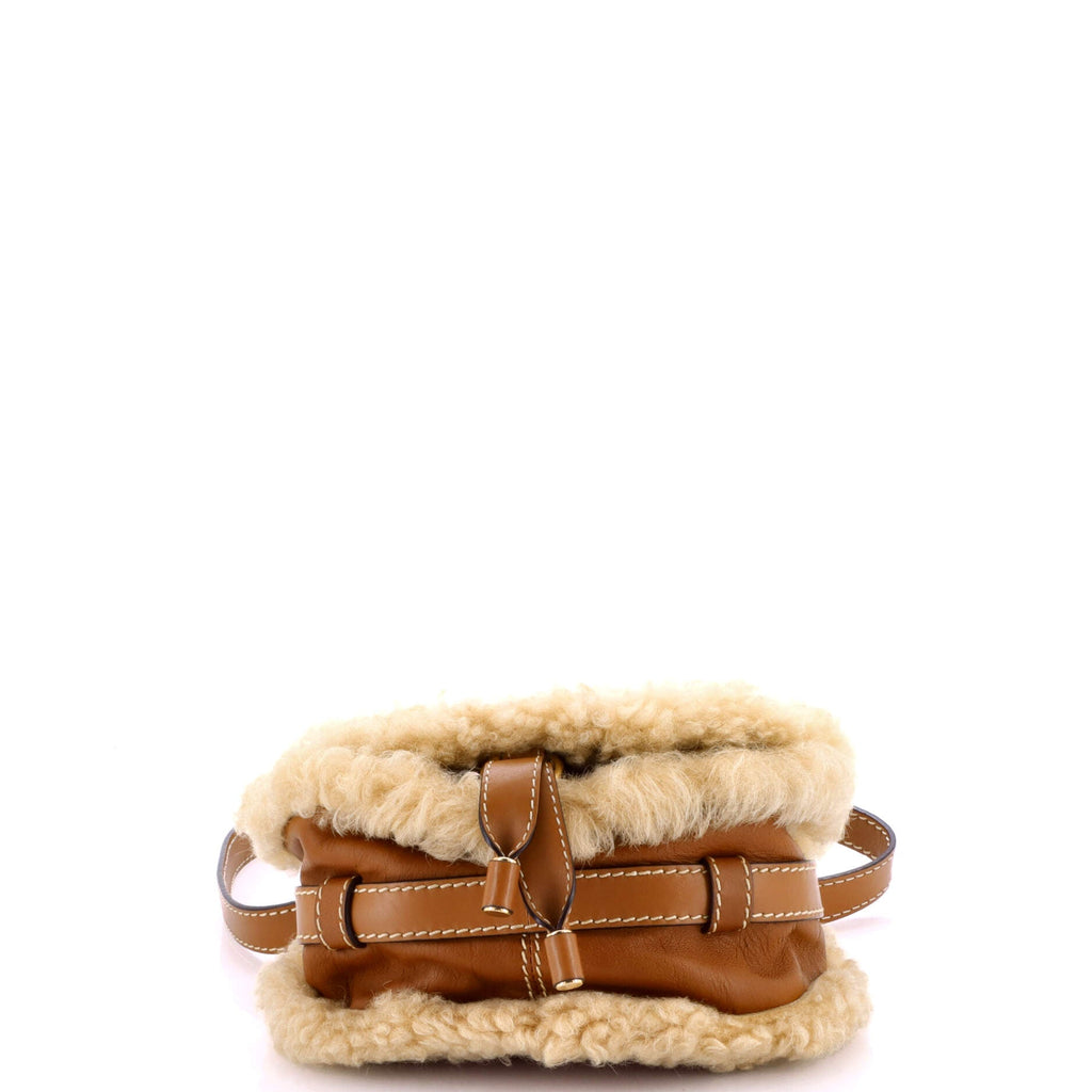 Marcie Crossbody Bag Leather and Shearling Mini