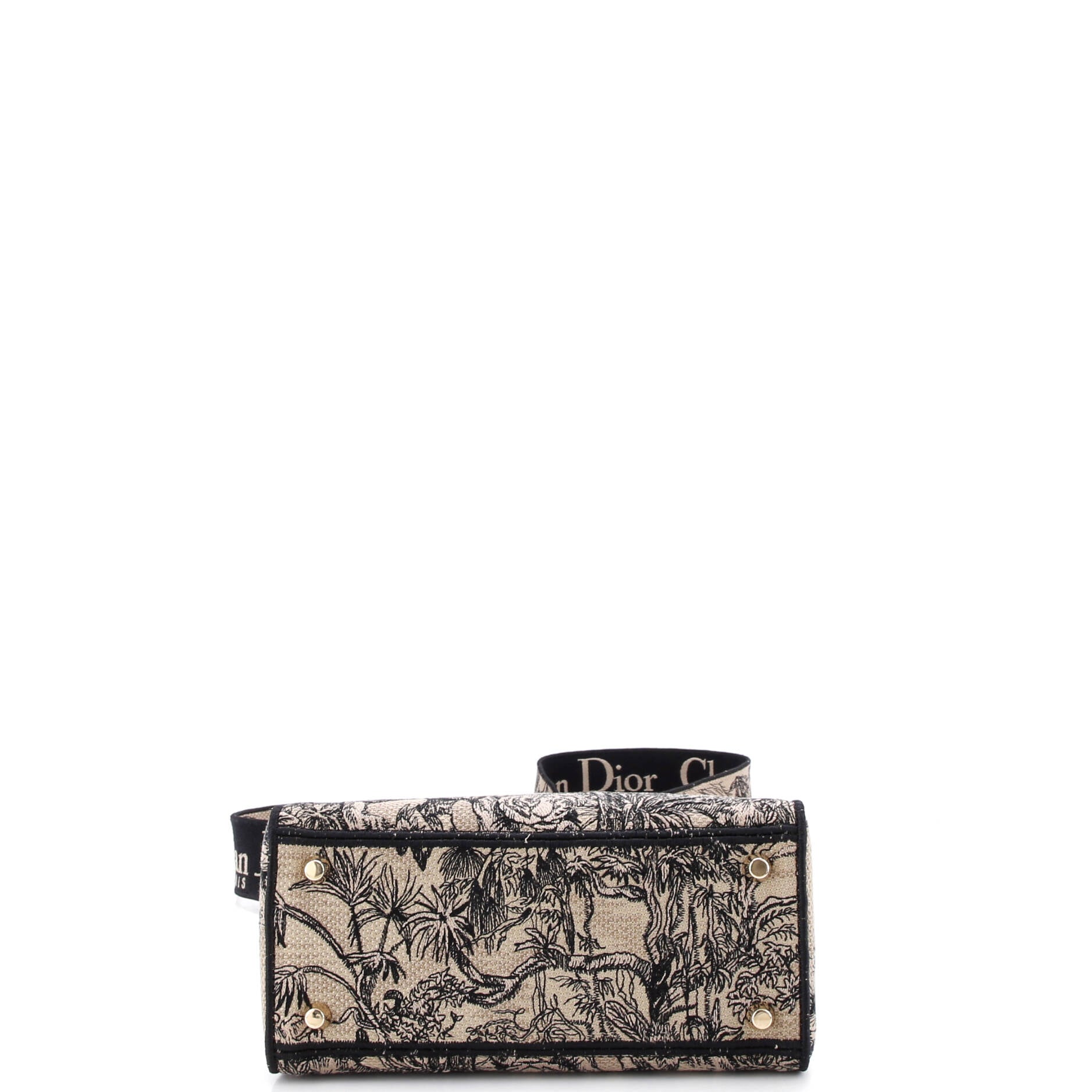 Lady D-Lite Bag Embroidered Canvas Medium