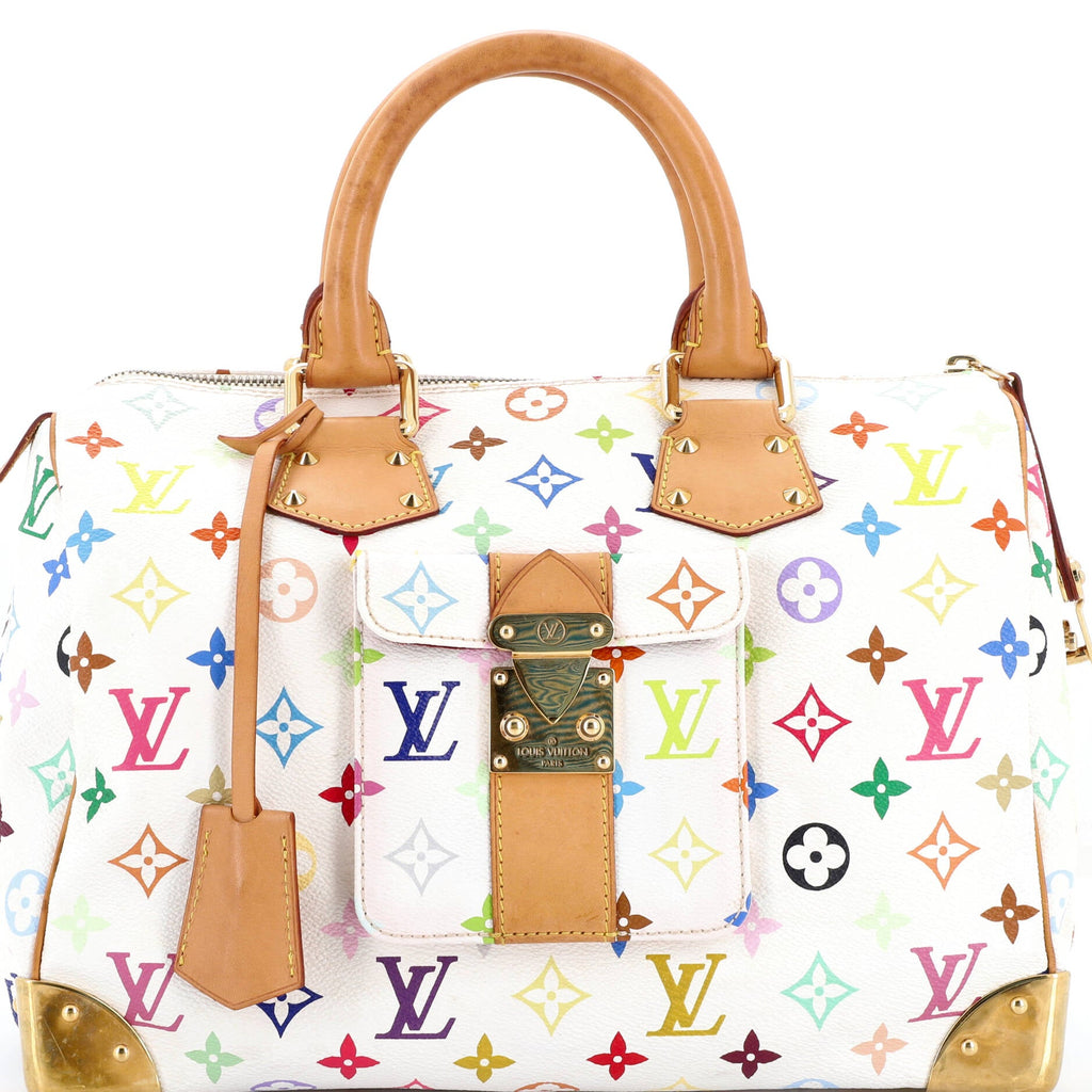 Speedy Handbag Monogram Multicolor 30