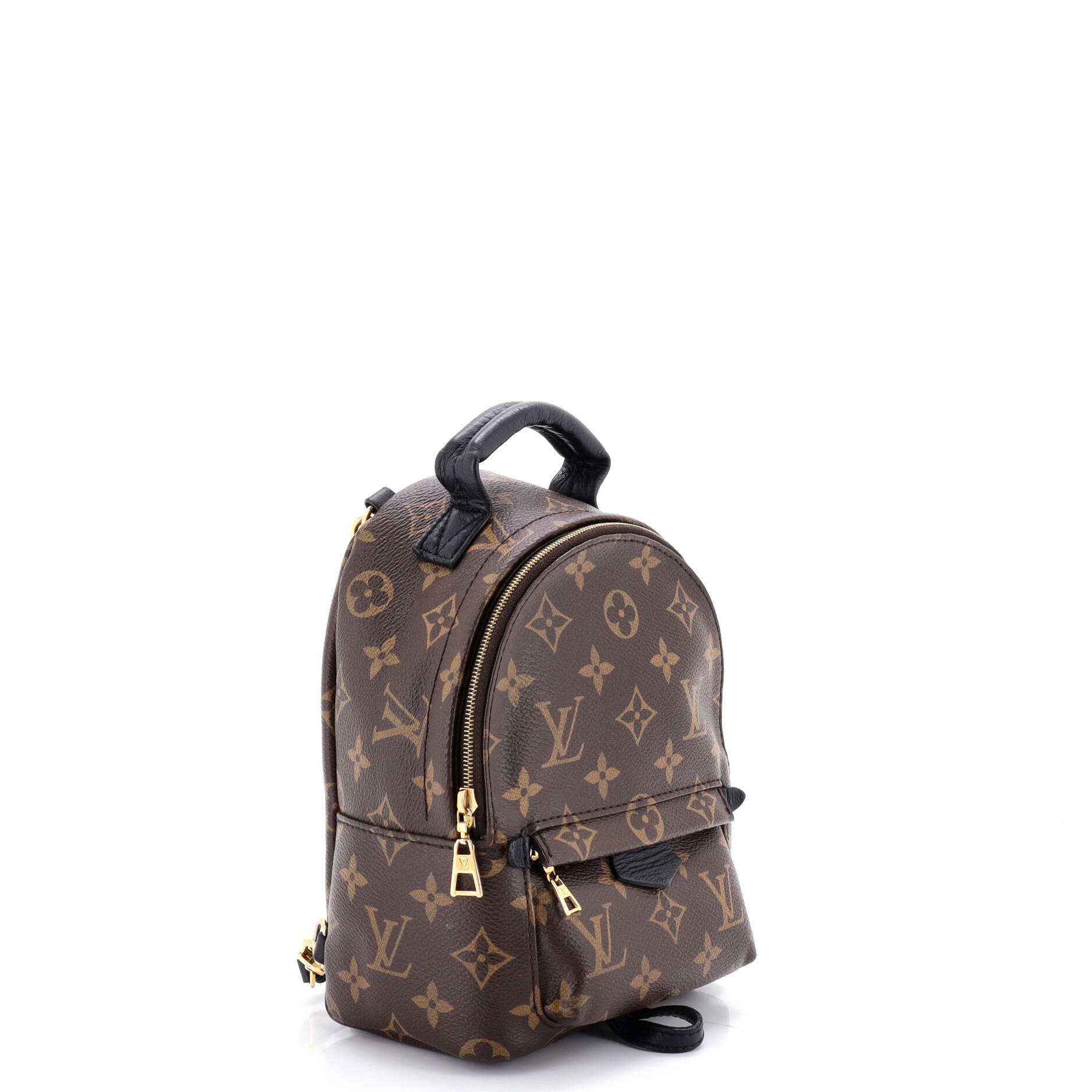 Palm Springs Backpack Monogram Canvas Mini