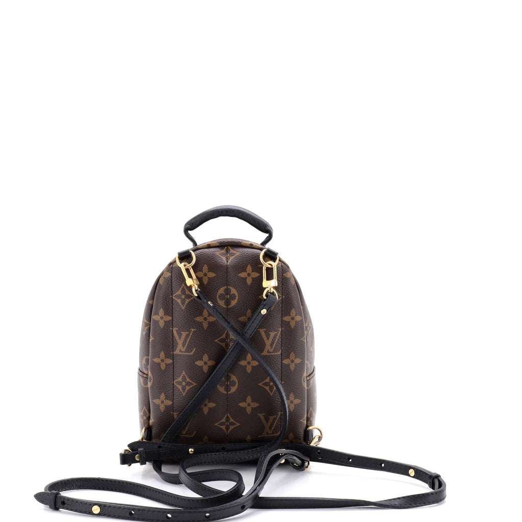 Palm Springs Backpack Monogram Canvas Mini