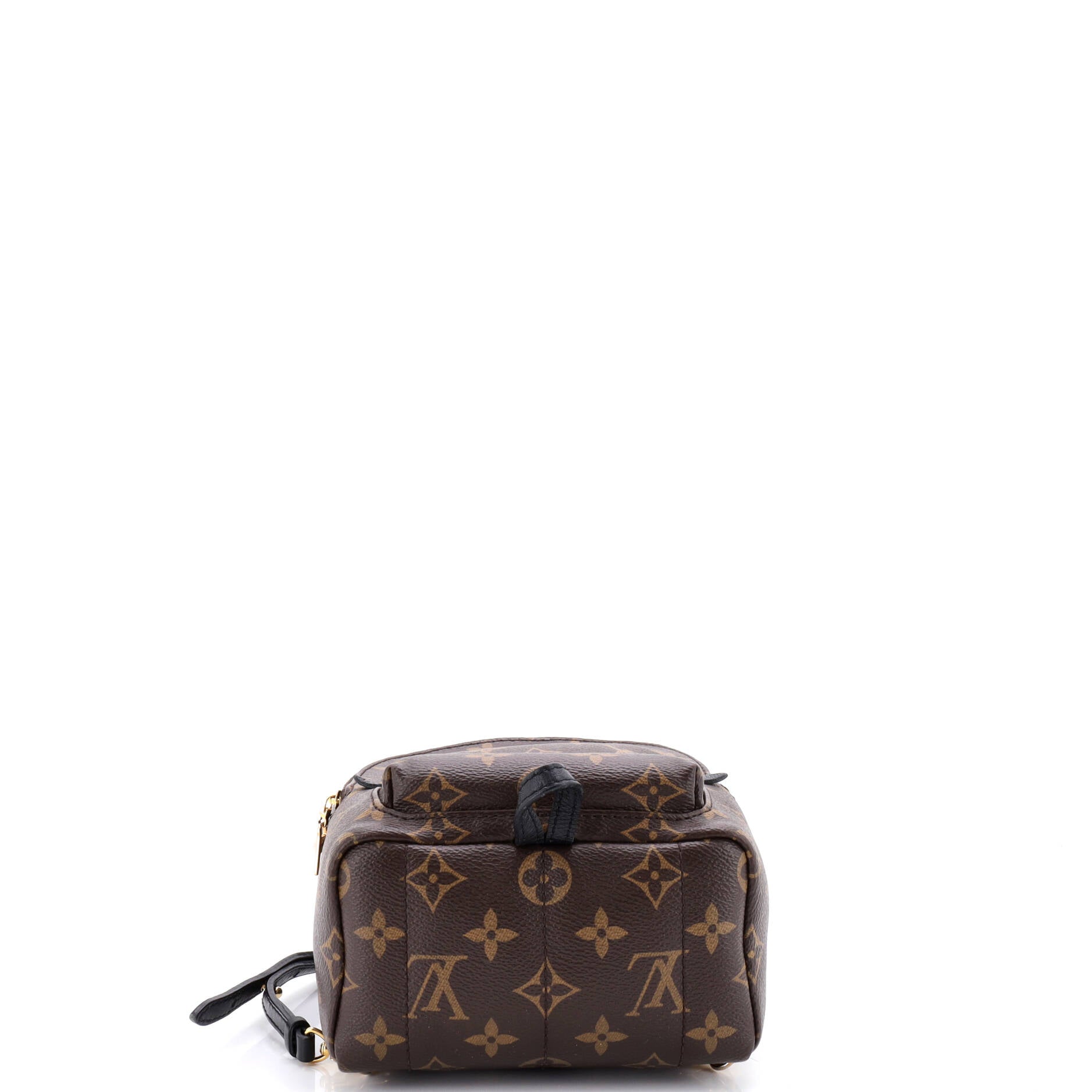Palm Springs Backpack Monogram Canvas Mini