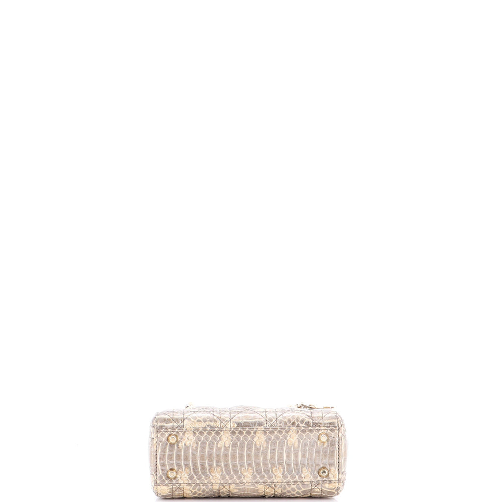 Lady Dior Chain Bag Cannage Quilt Python Mini