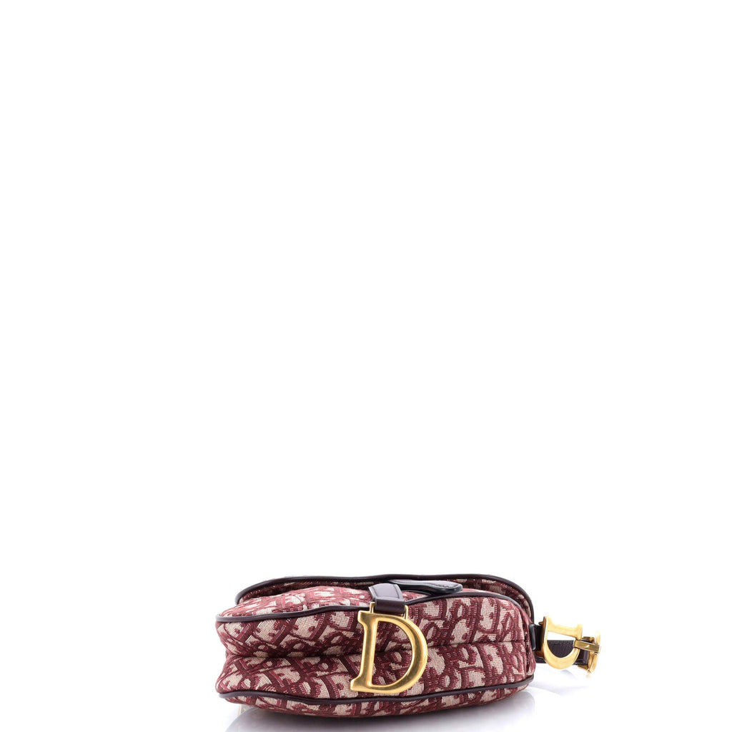 Saddle Handbag Oblique Canvas Mini
