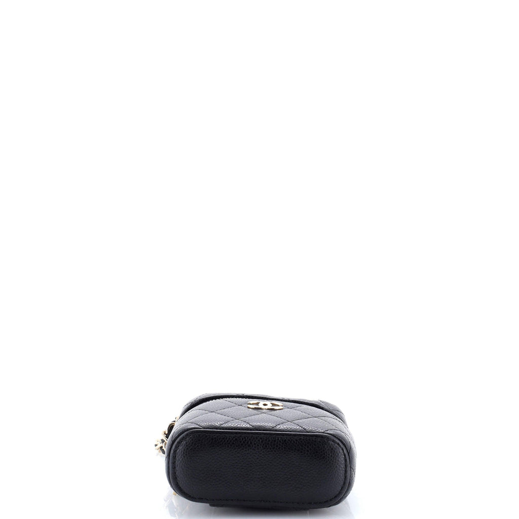 Handle with Care Vanity Case with Chain Quilted Caviar
