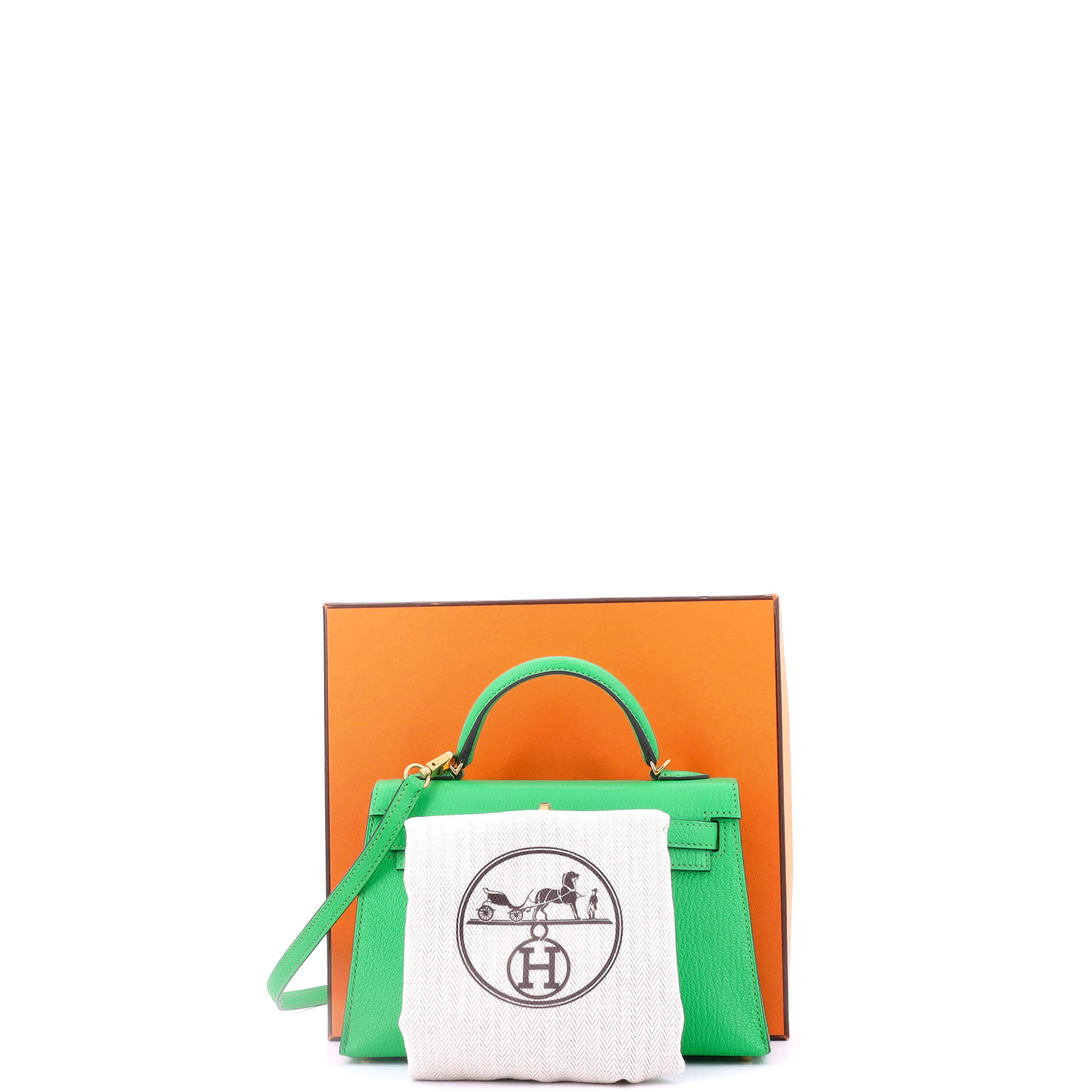 Kelly Mini II Bag Vert Comics Chevre Mysore with Gold Hardware 20