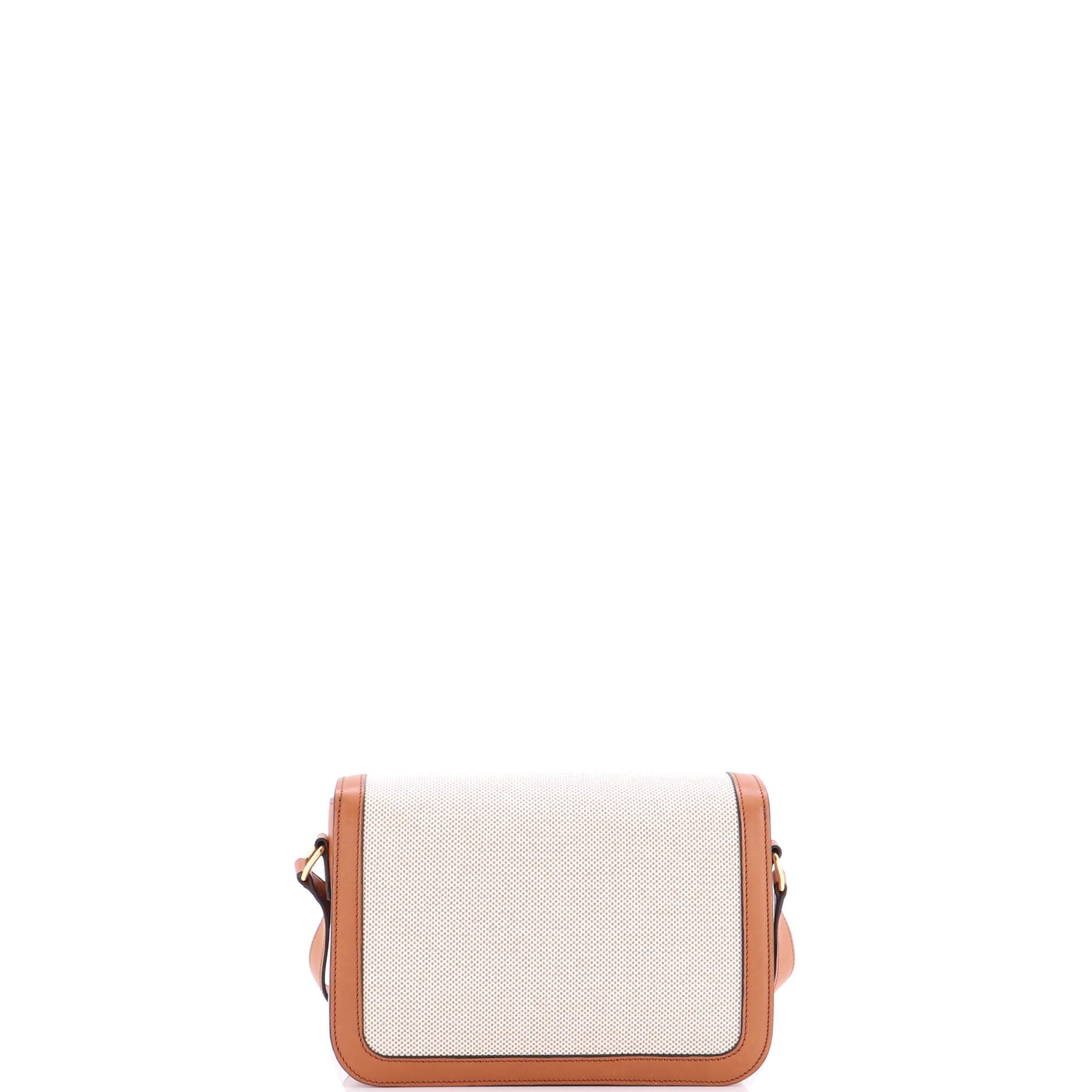 Triomphe Shoulder Bag Canvas with Leather Medium