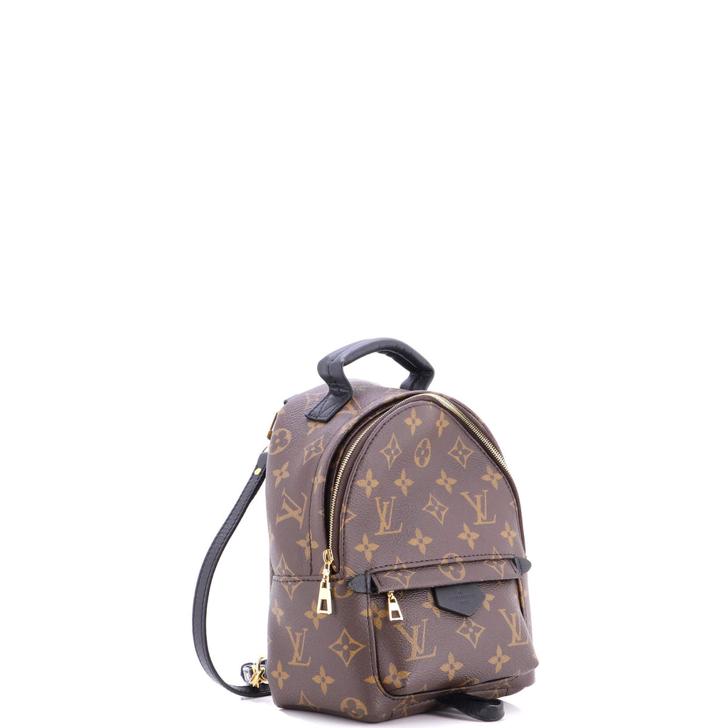 Palm Springs Backpack Monogram Canvas Mini