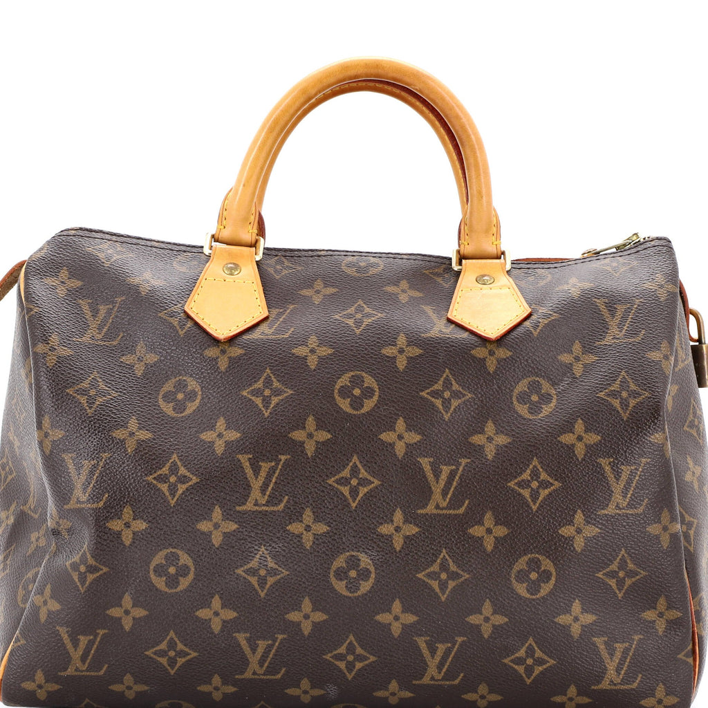 Speedy Handbag Monogram Canvas 30