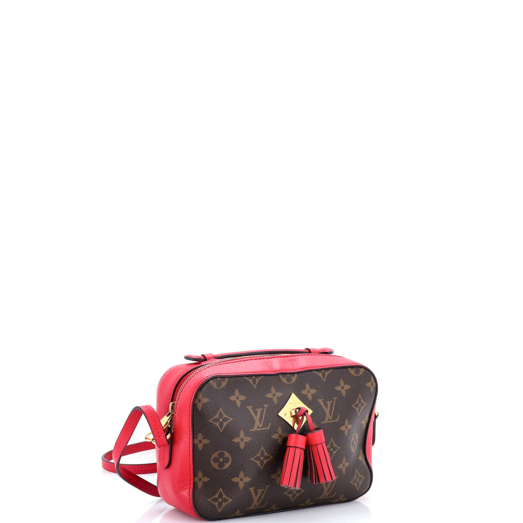 Saintonge Handbag Monogram Canvas with Leather