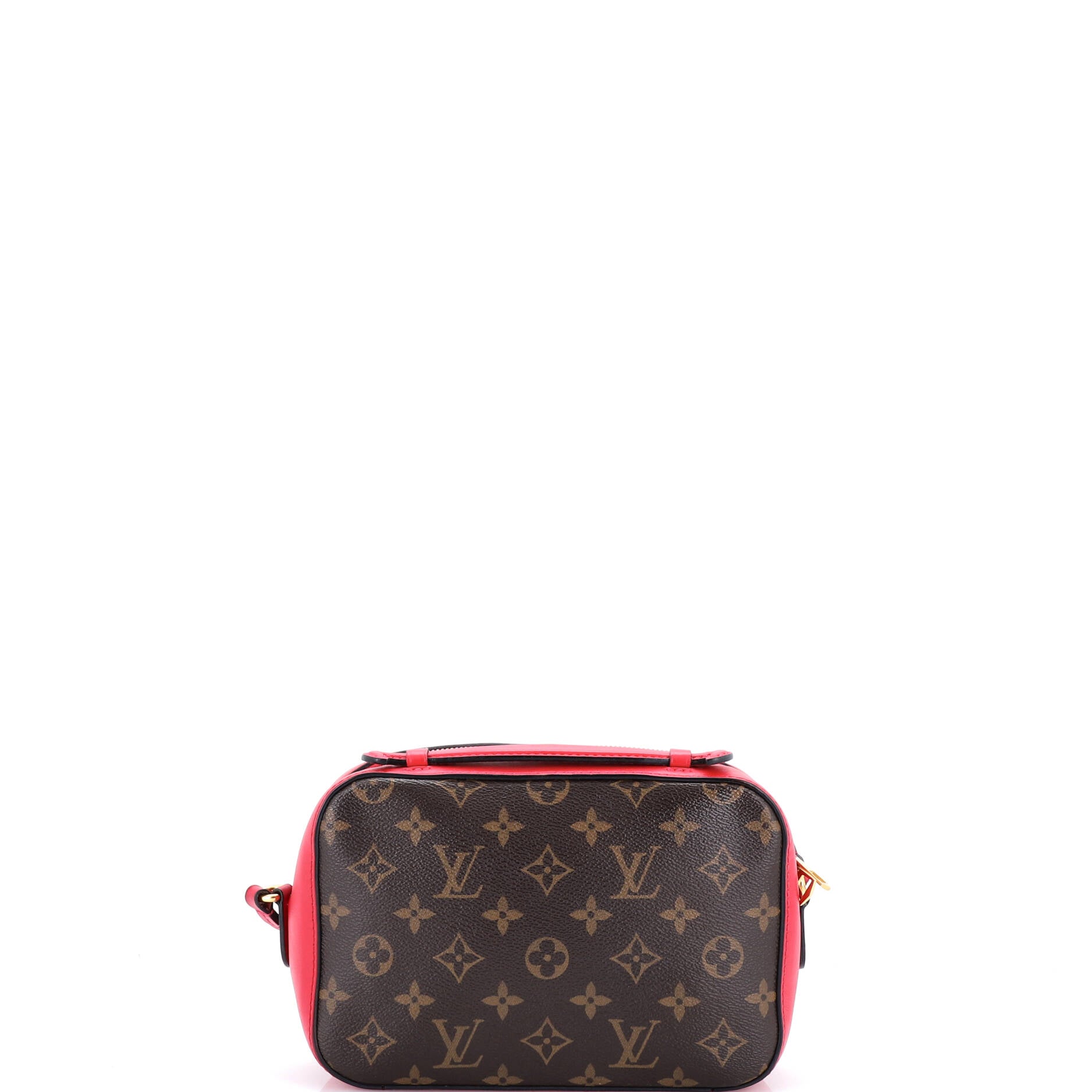 Saintonge Handbag Monogram Canvas with Leather