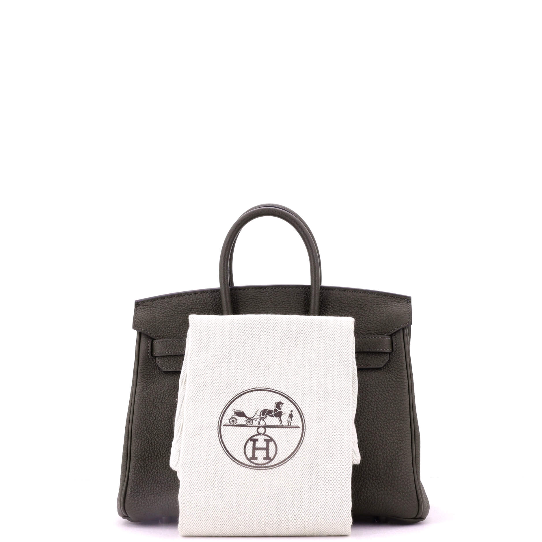Birkin Handbag Vert Maquis Togo with Palladium Hardware 25