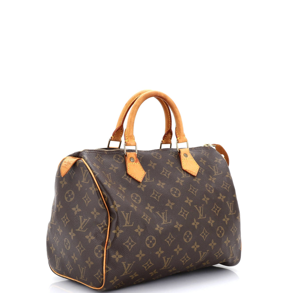 Speedy Handbag Monogram Canvas 30