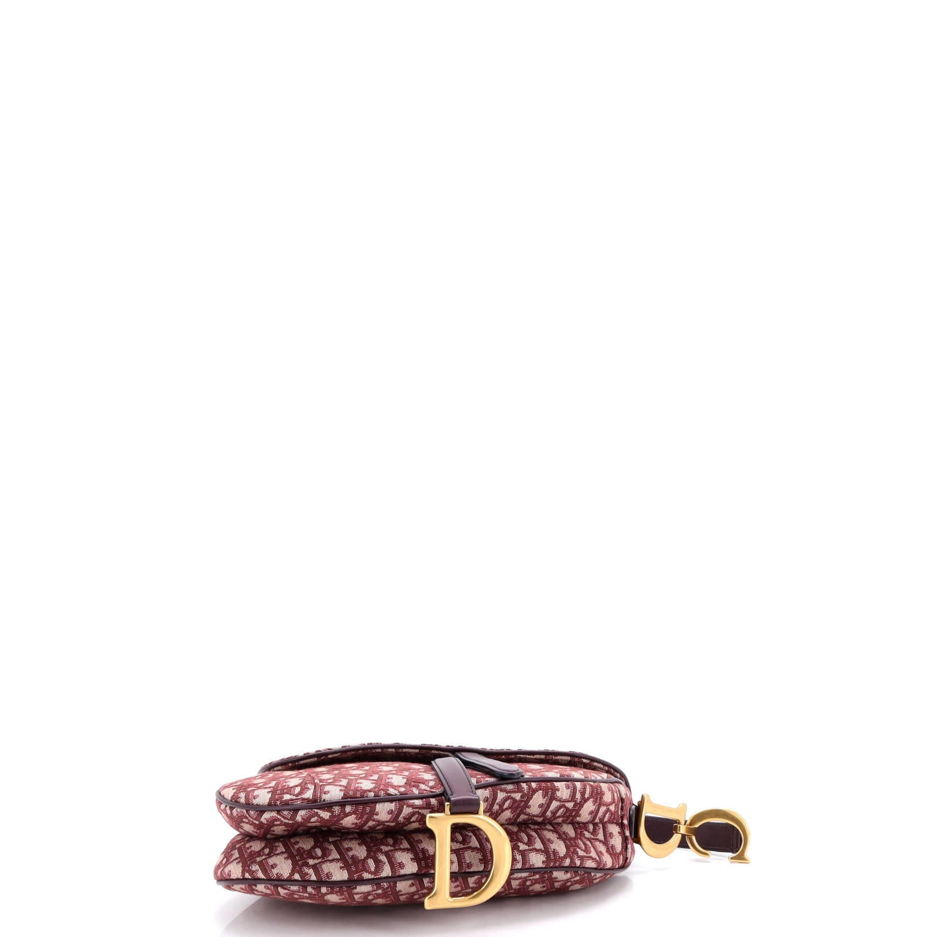 Saddle Handbag Oblique Canvas Medium