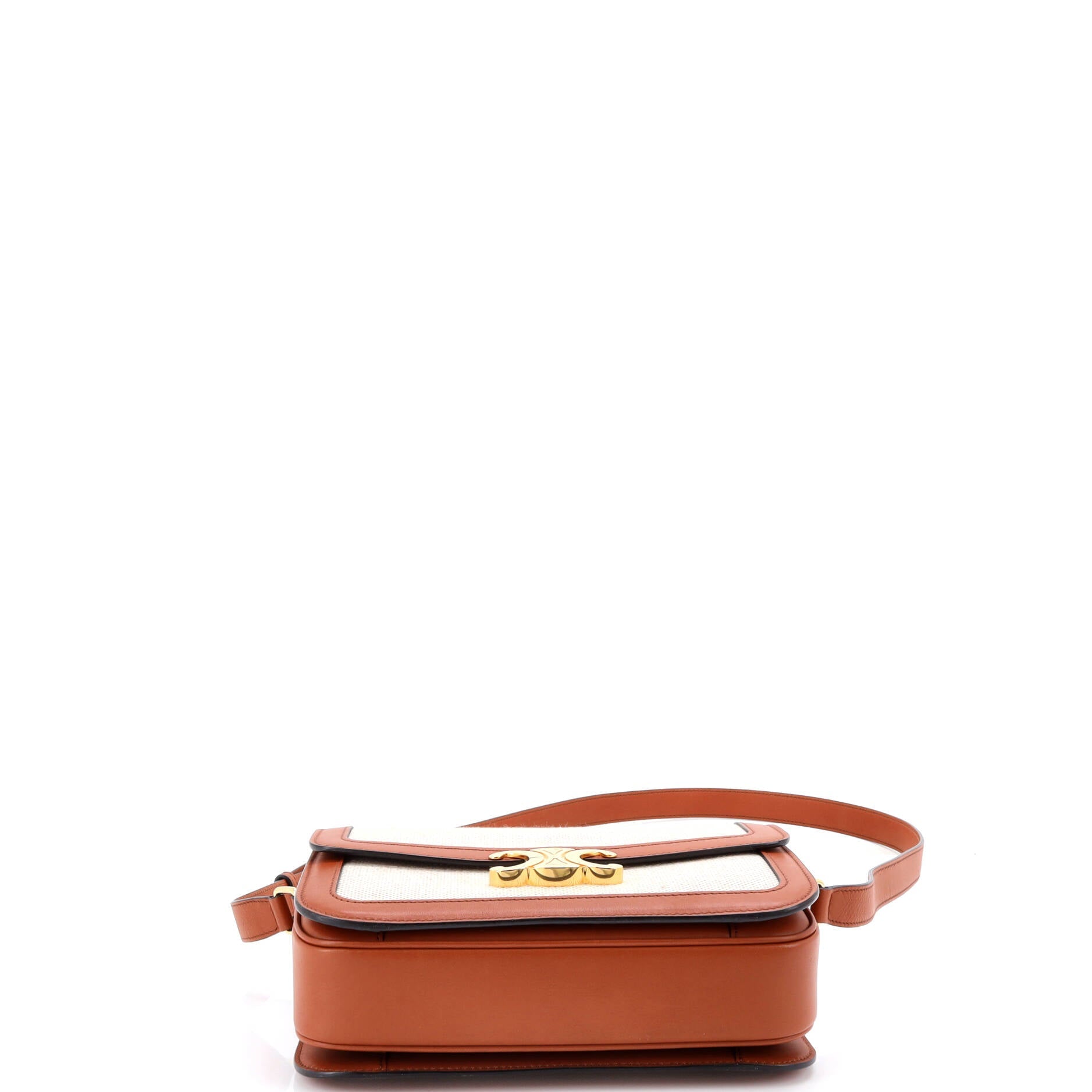 Triomphe Shoulder Bag Canvas with Leather Medium