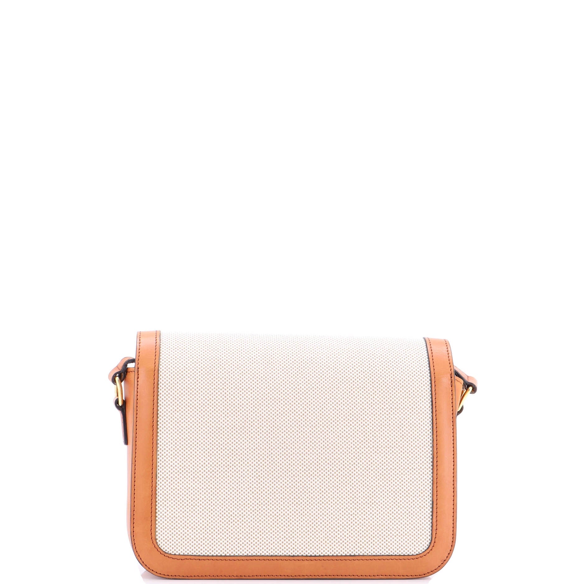 Triomphe Shoulder Bag Canvas with Leather Medium