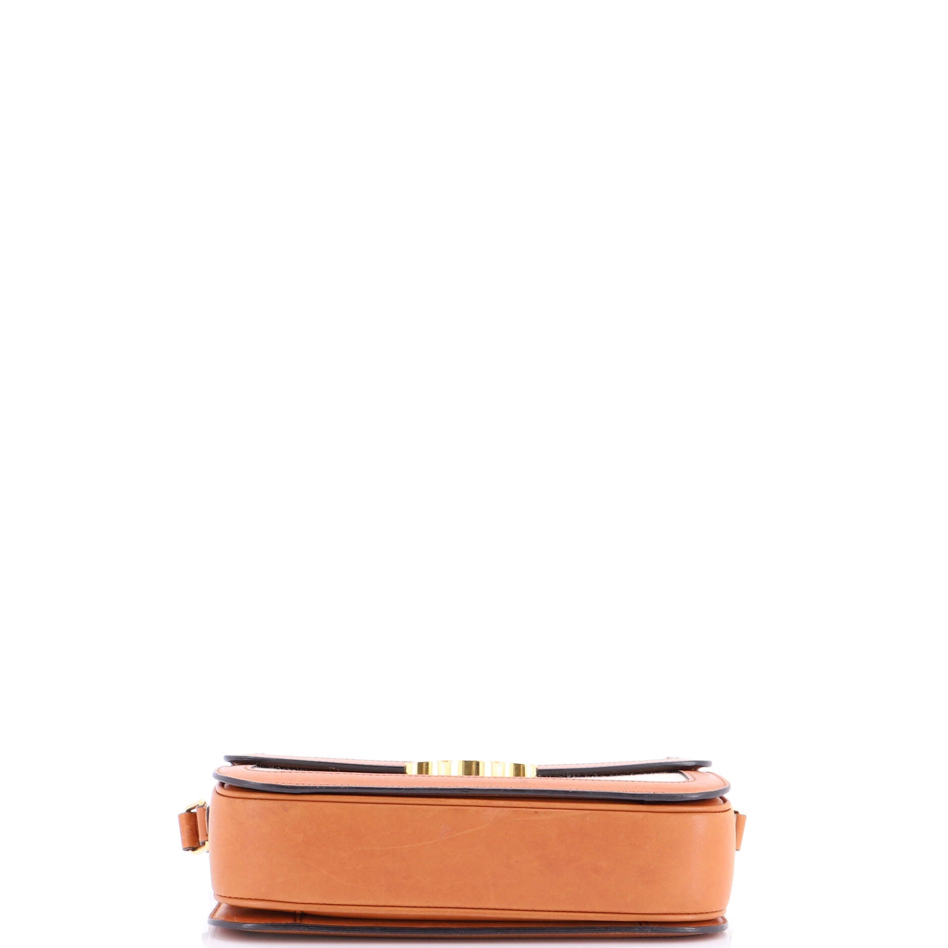 Triomphe Shoulder Bag Canvas with Leather Medium